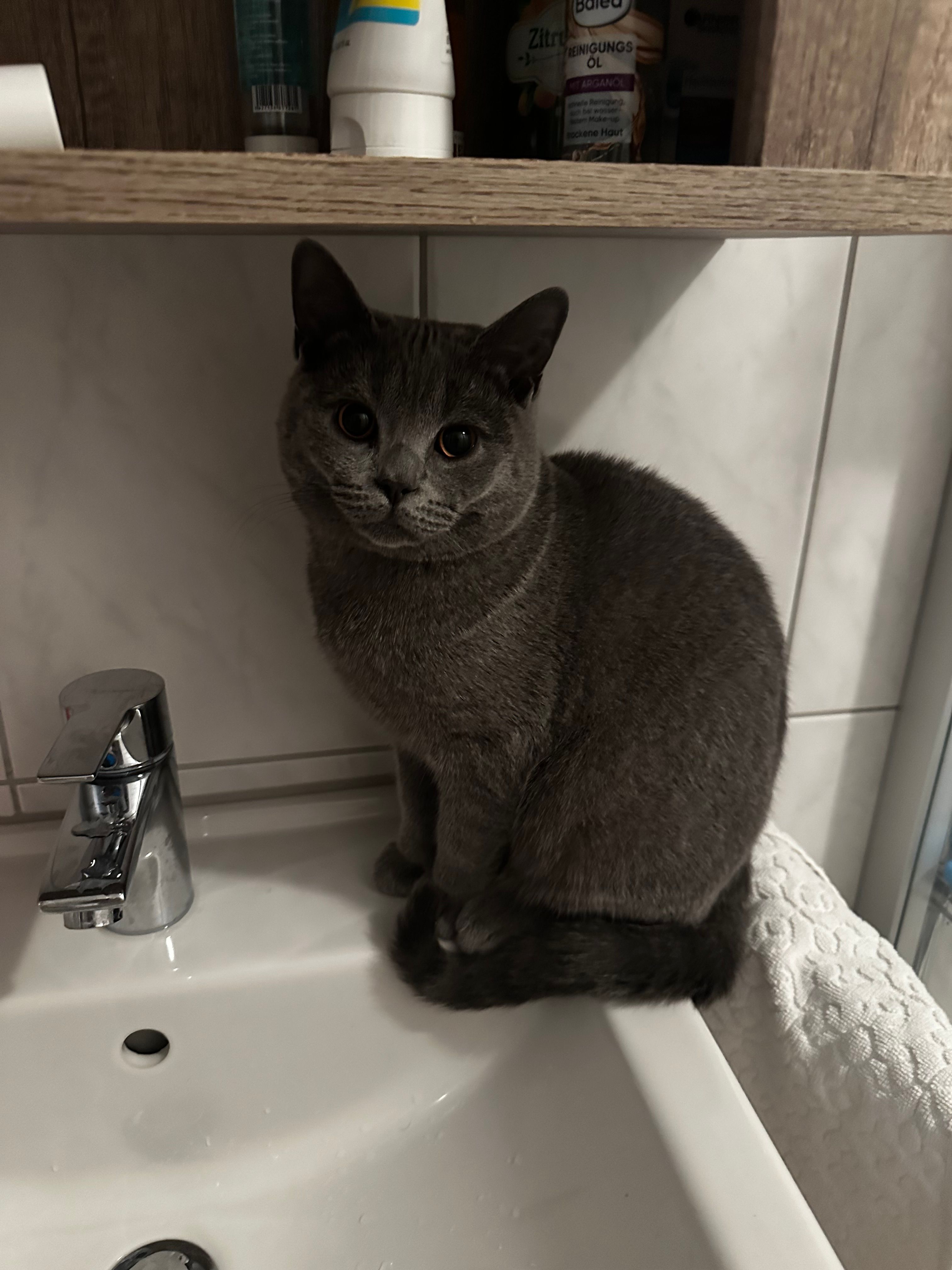 Bulut - Alemannenstraße, Villingen-Schwenningen