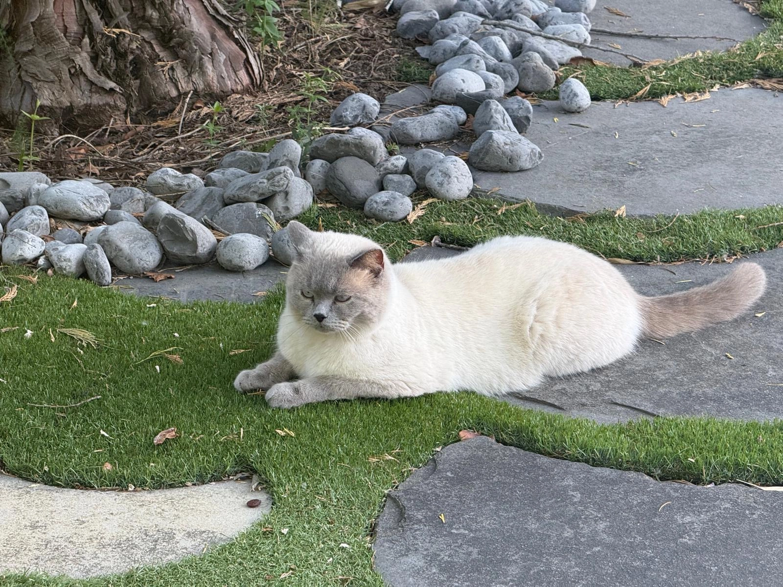 Bublik - 76 Rue de Sassy, Saint-Raphaël