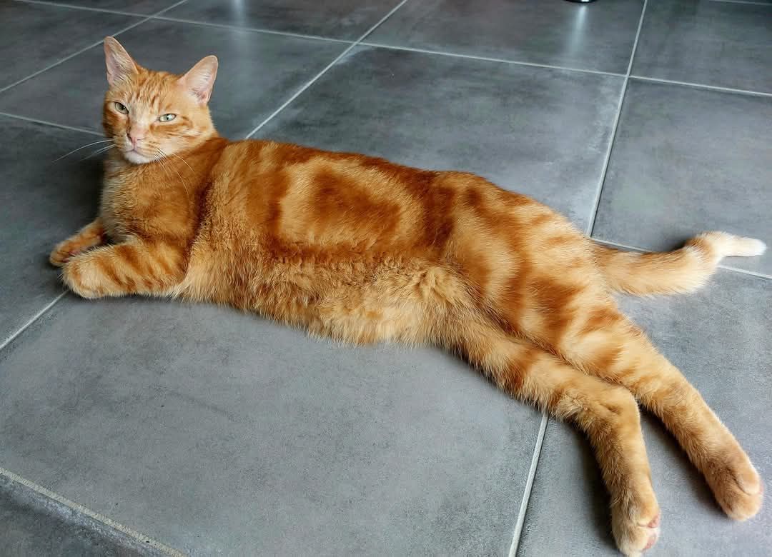 Hélios - Rue Du Planty, Saint-Sulpice-d'Arnoult