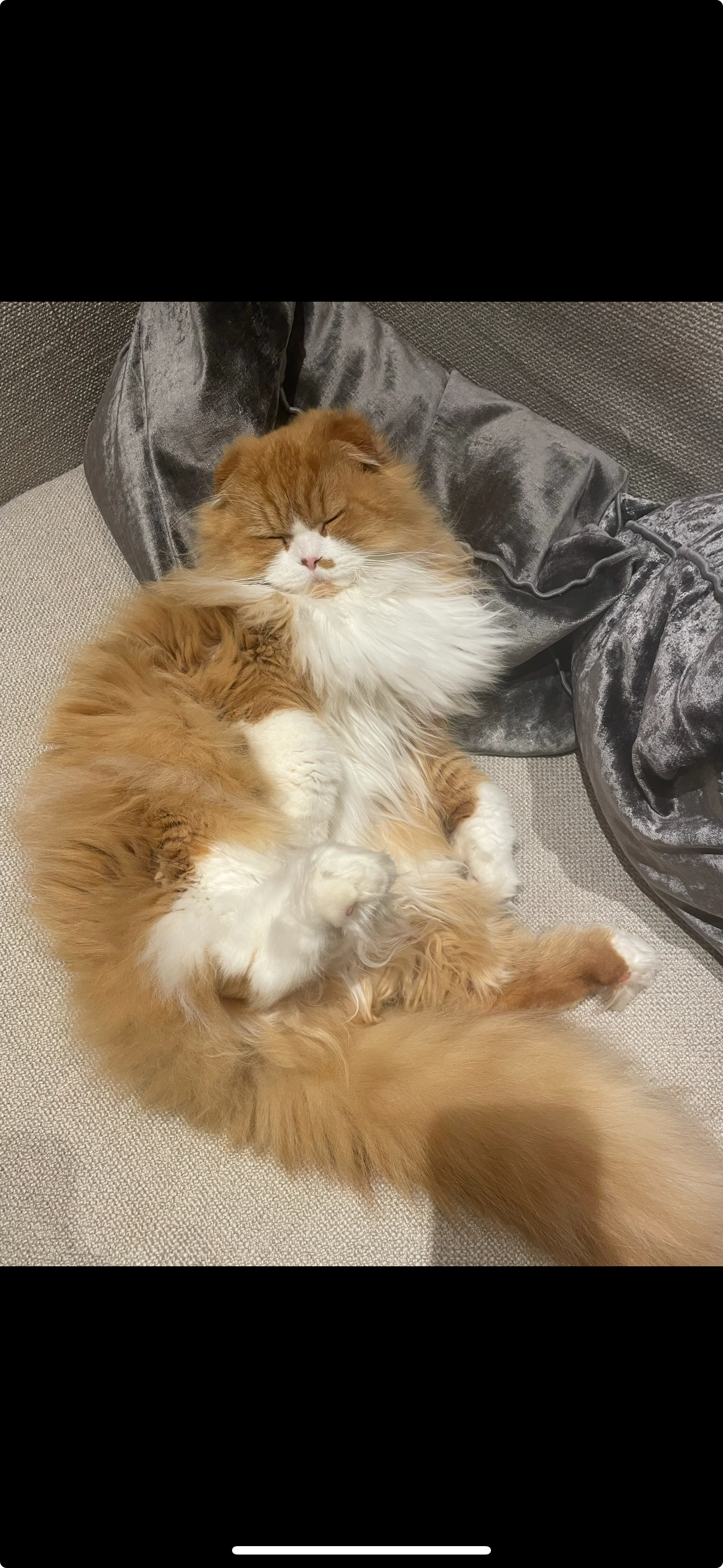 Babou - Pensjagersstraat 8, Oostende