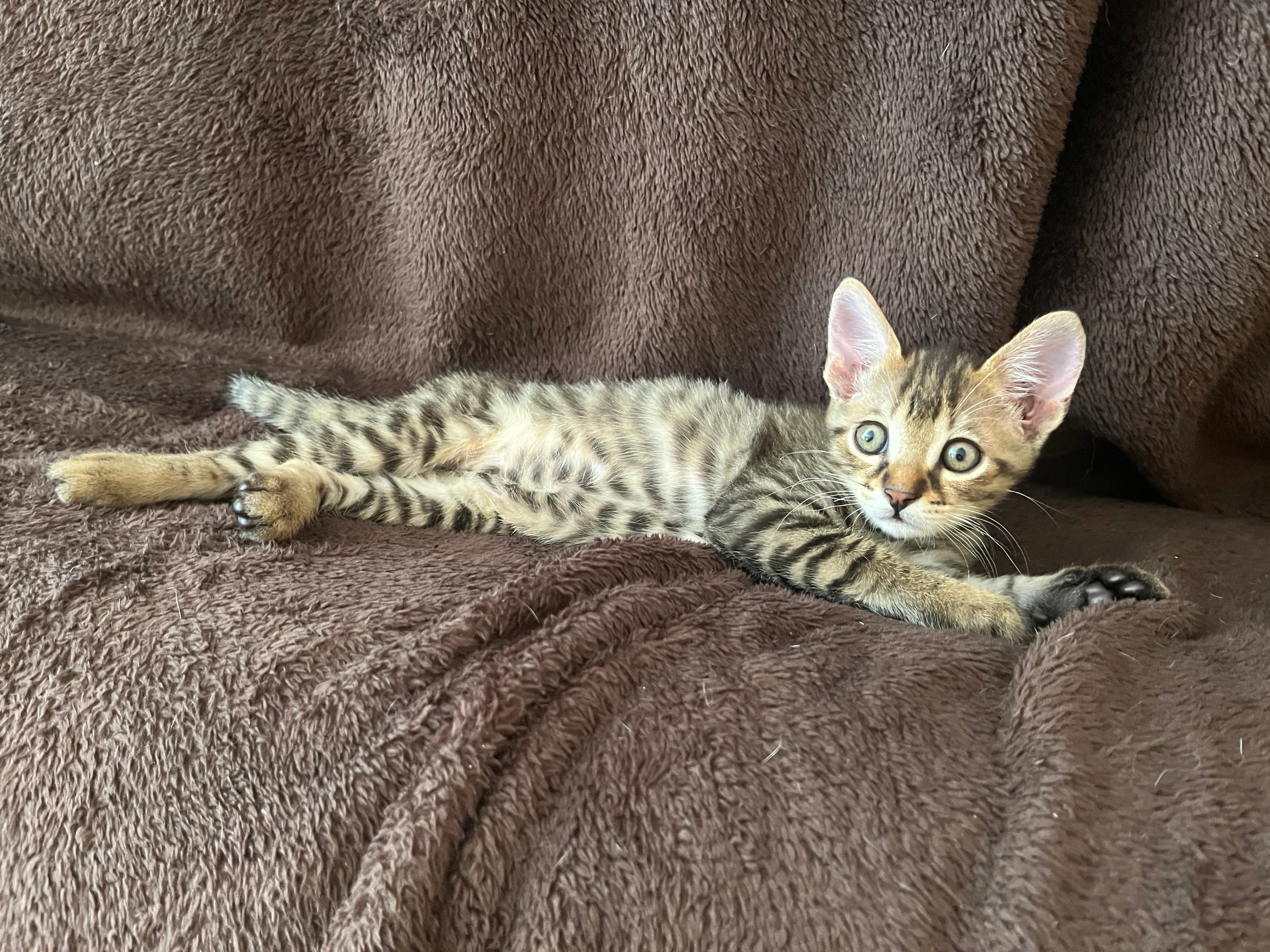 Nick - Rue de Saint-Exupéry, Angers