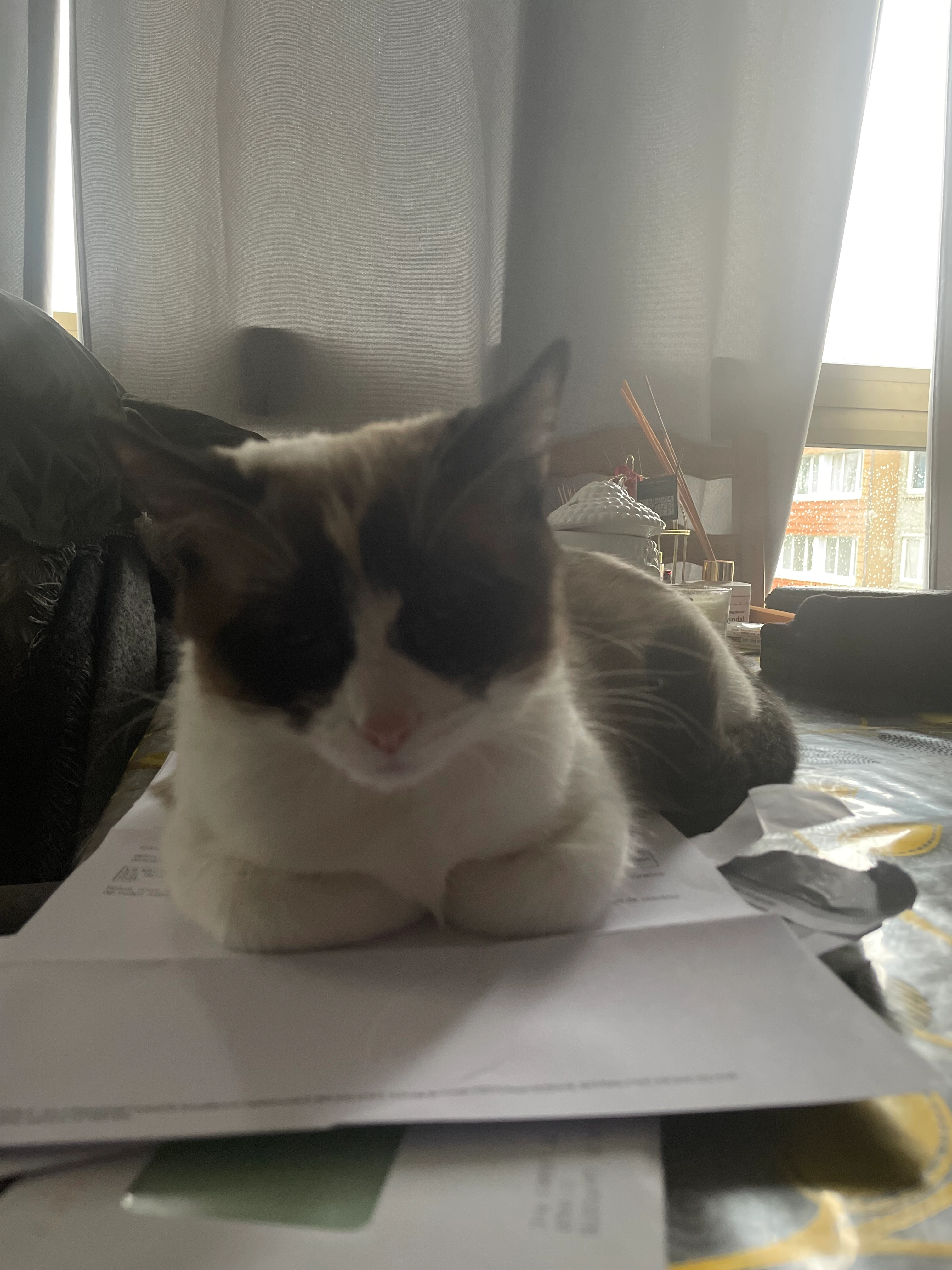 Nalla - Rond-Point des Tourelles, Roubaix