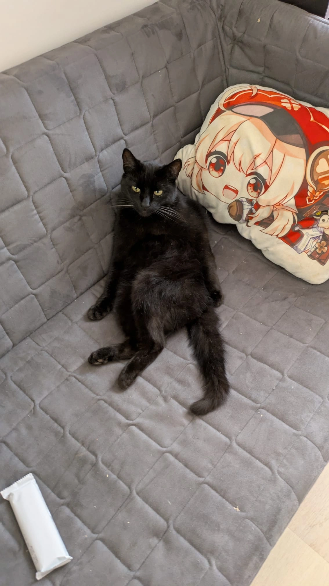 Jake - Cypressenhoven, Maastricht