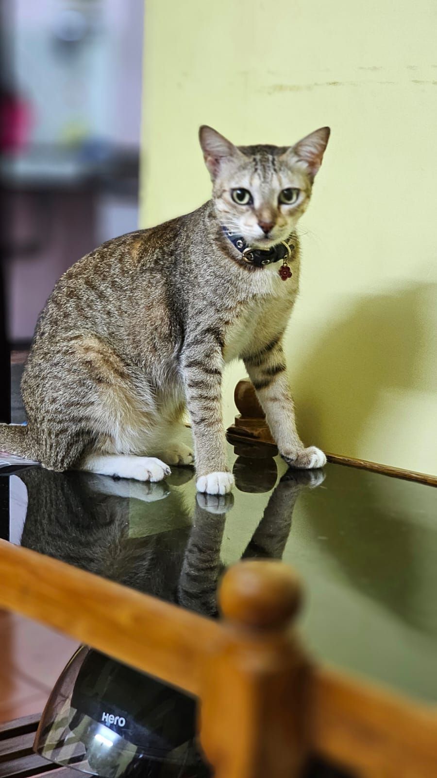 Kunji - Chamakkada Road, Kollam