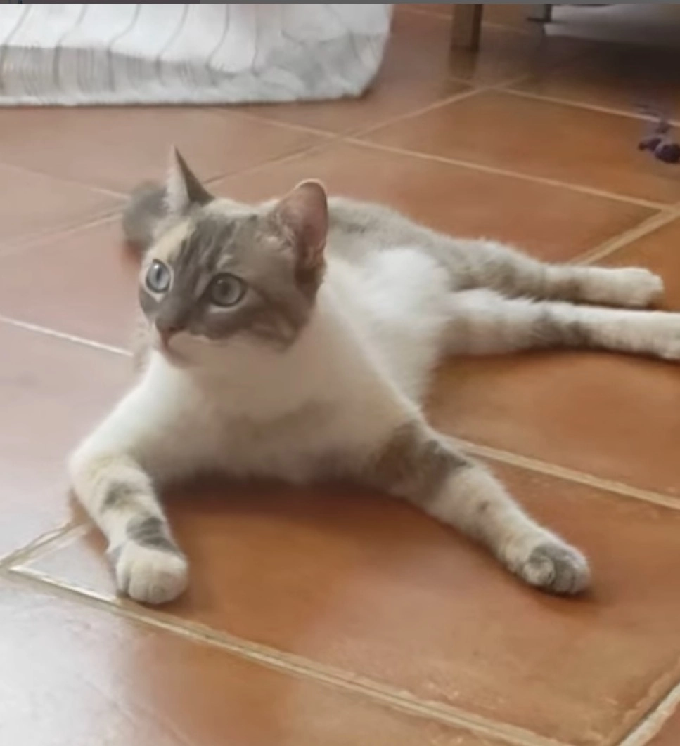 Christa - Calle Clavel, Carboneras