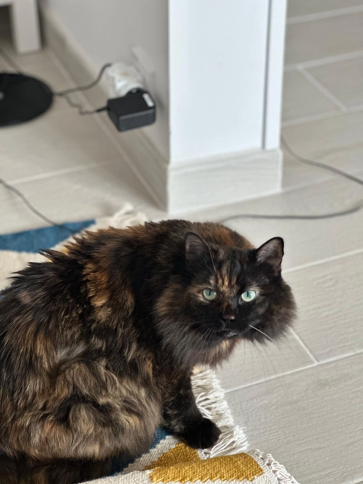 Chaya - 1 Rue Jean Renoir, Évry-Courcouronnes