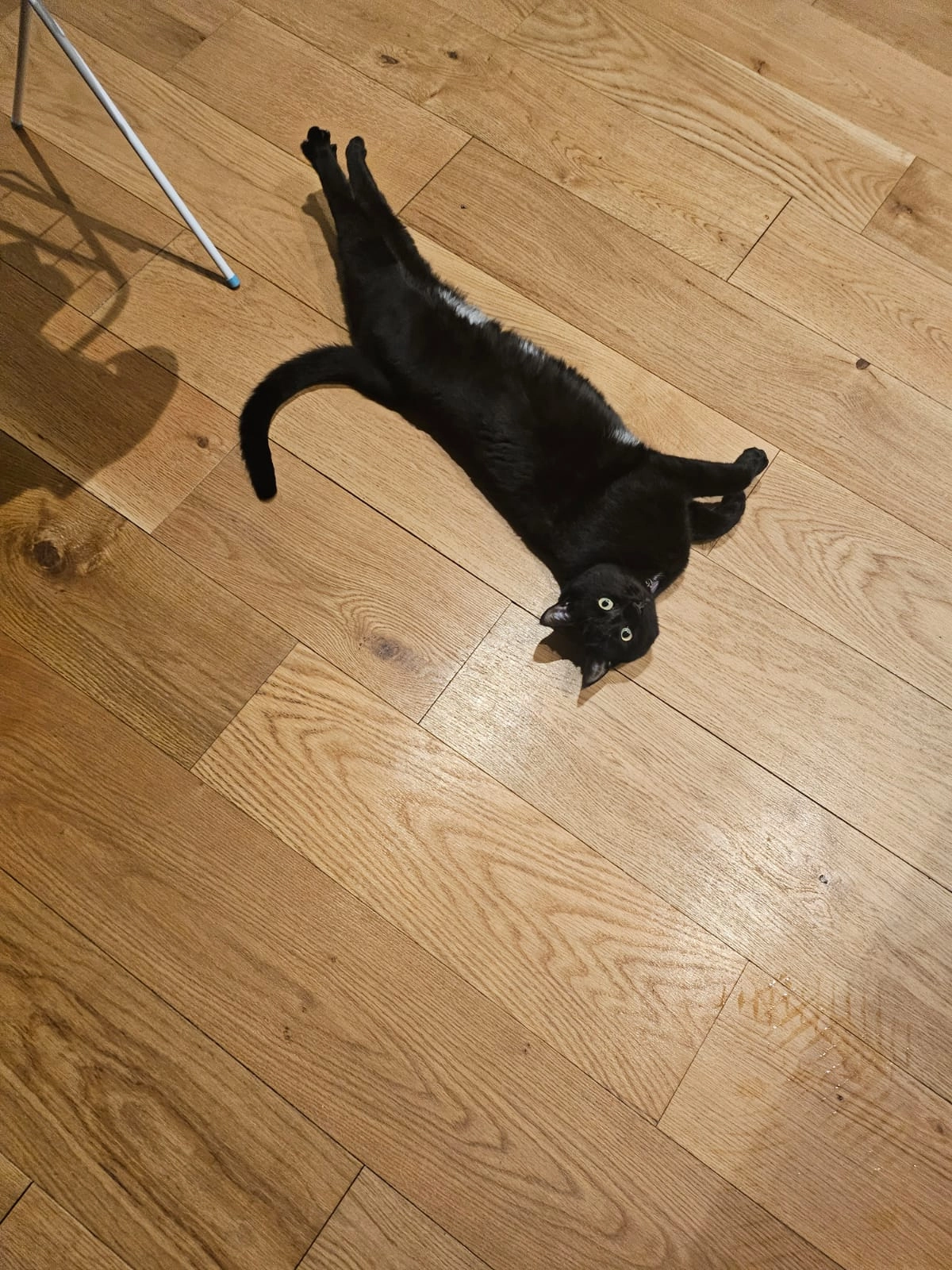 Dave - Glenbourne Way, Glencullen