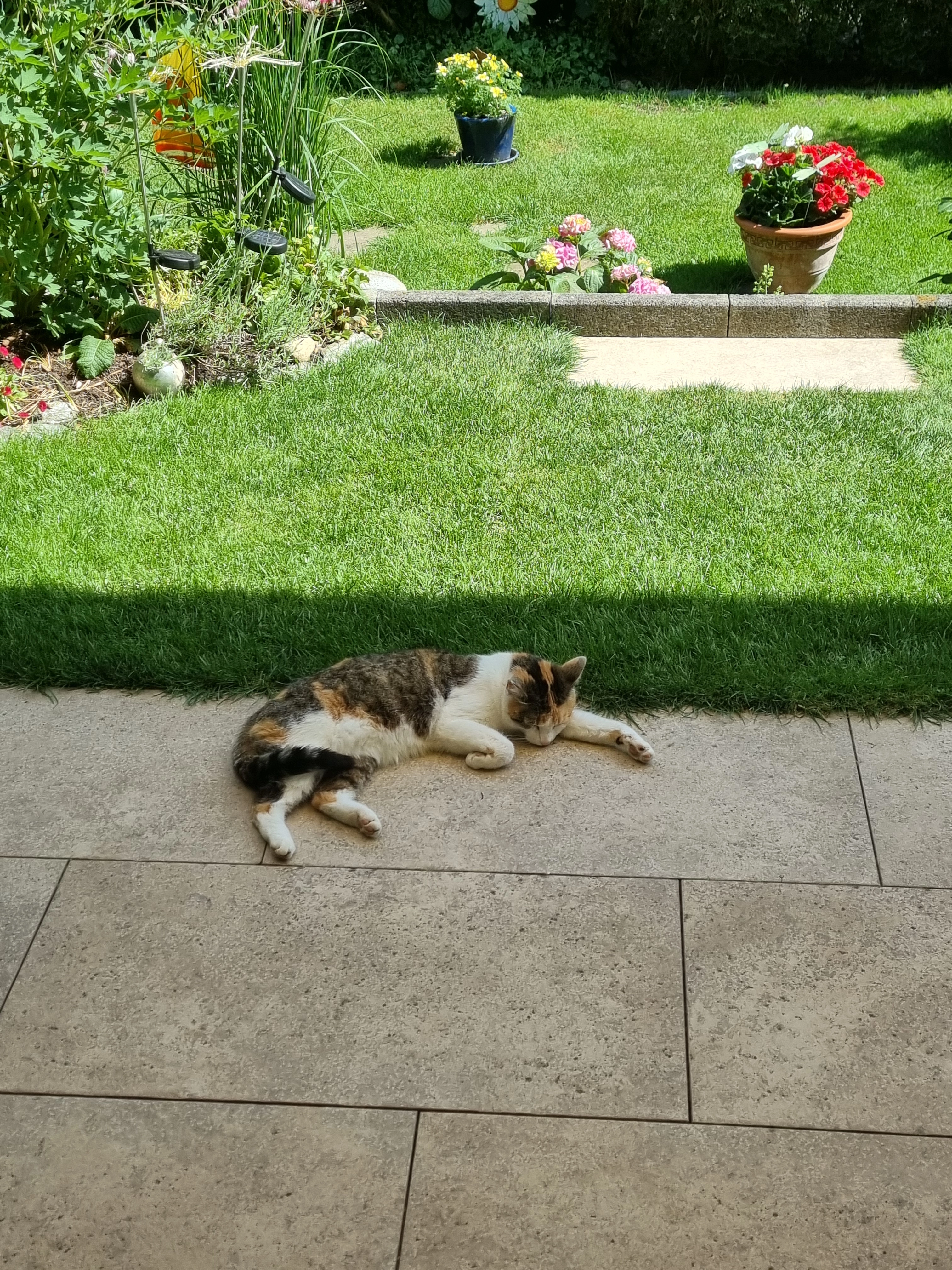 Flocke - Dientzenhoferstraße, Nürnberg