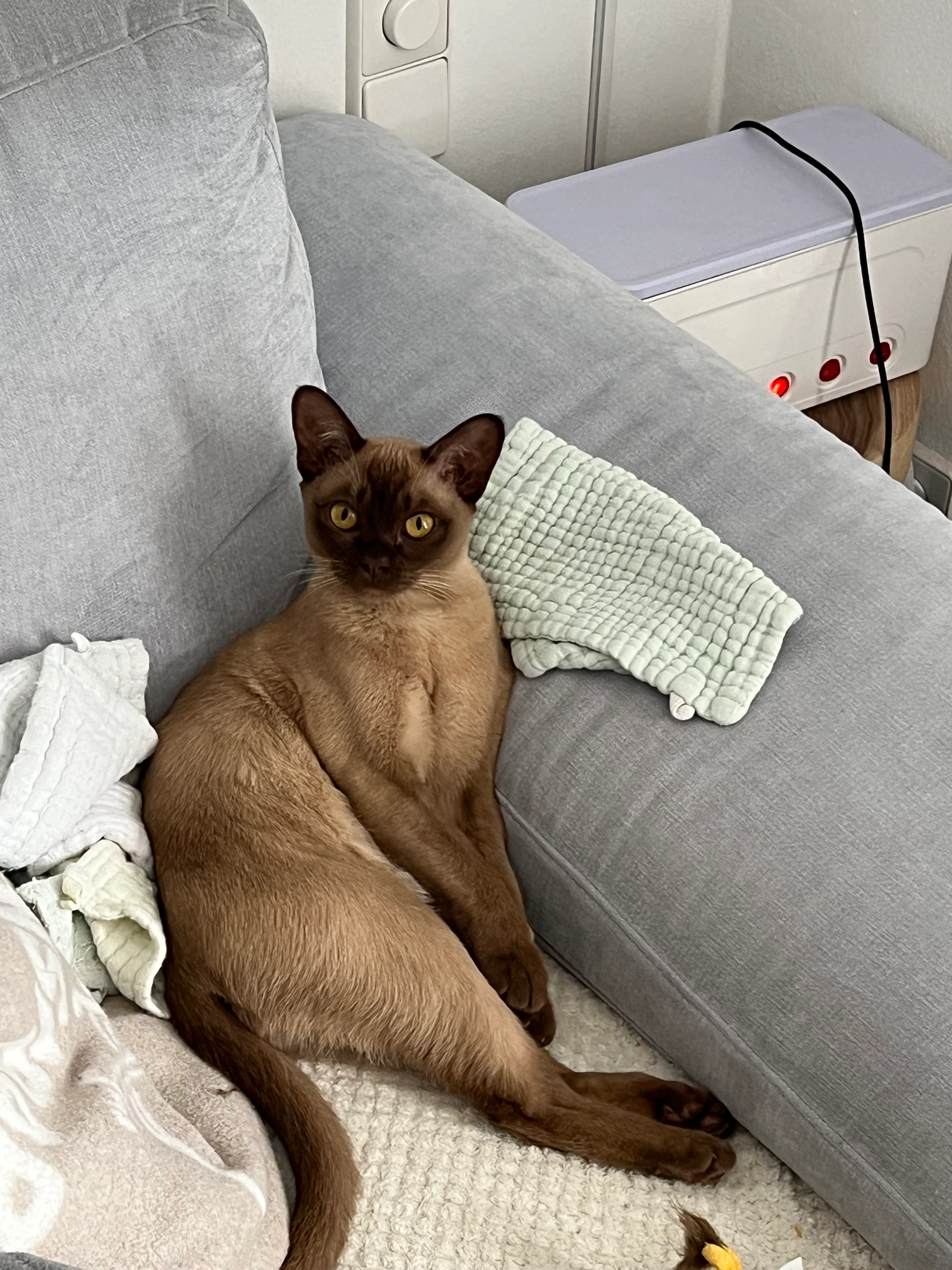 Trixie - Weiherweg, Hirrlingen