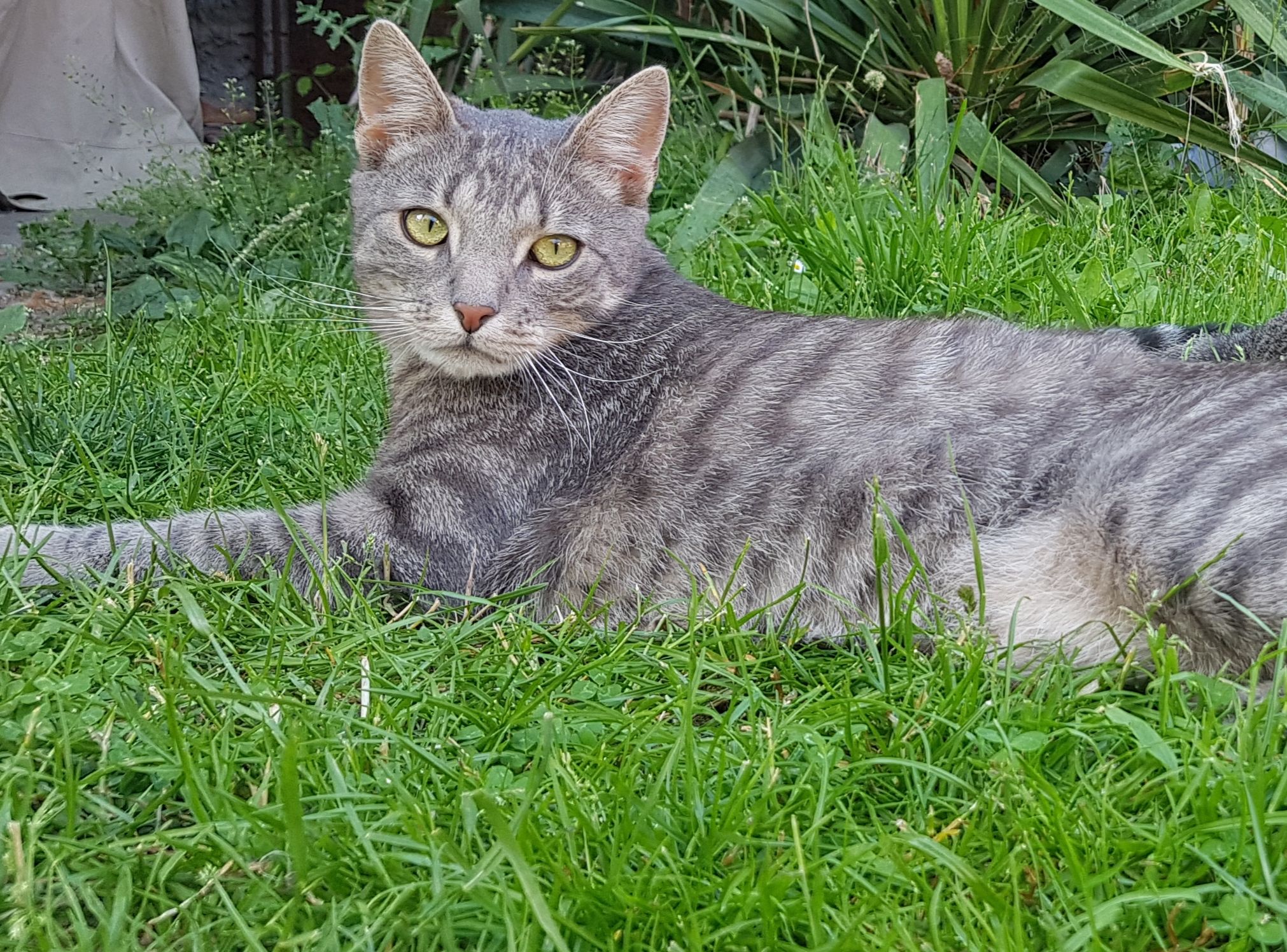 Charlie - Friedensplatz, Elbe-Parey