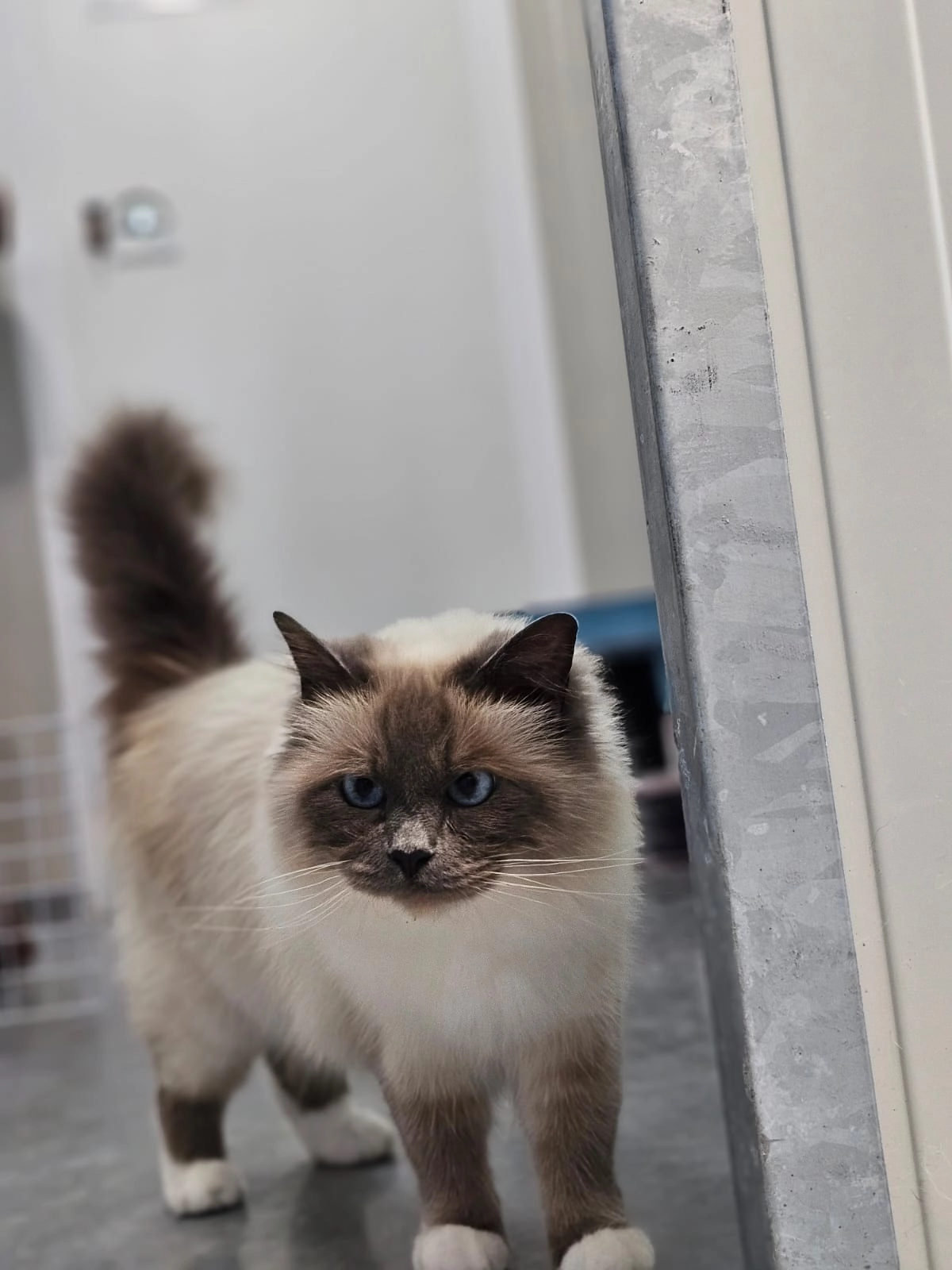 Praia - Route De L'embranchement, Litteau