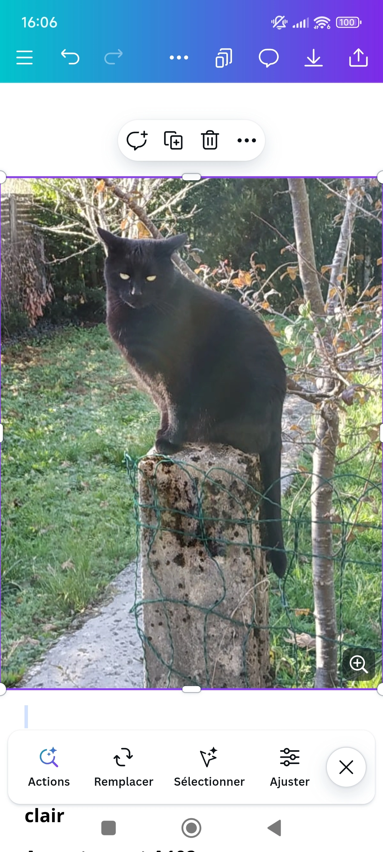 Pepsi - Rue des Blanchisseries, Bourg-en-Bresse
