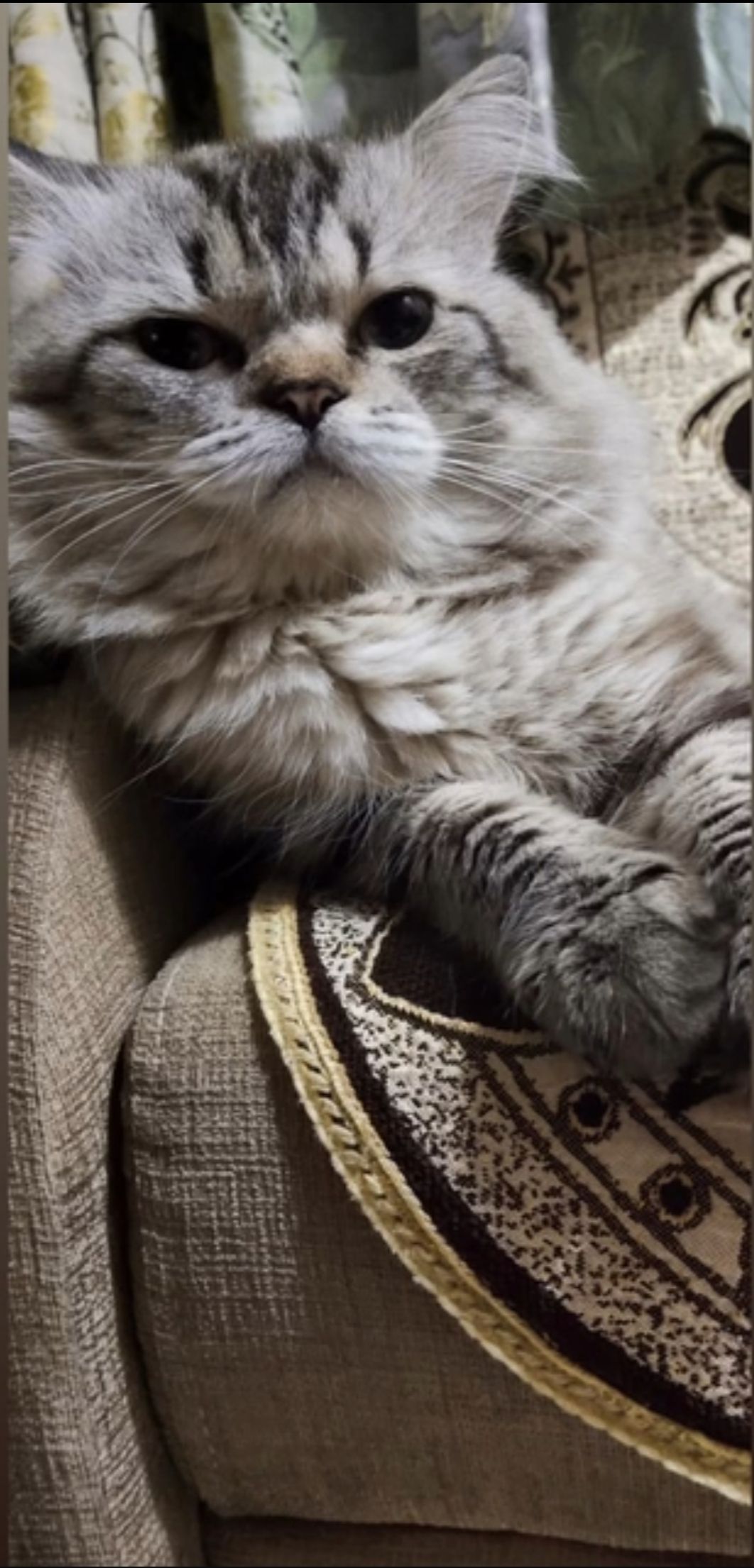 Boku - Warje Exit, Pune