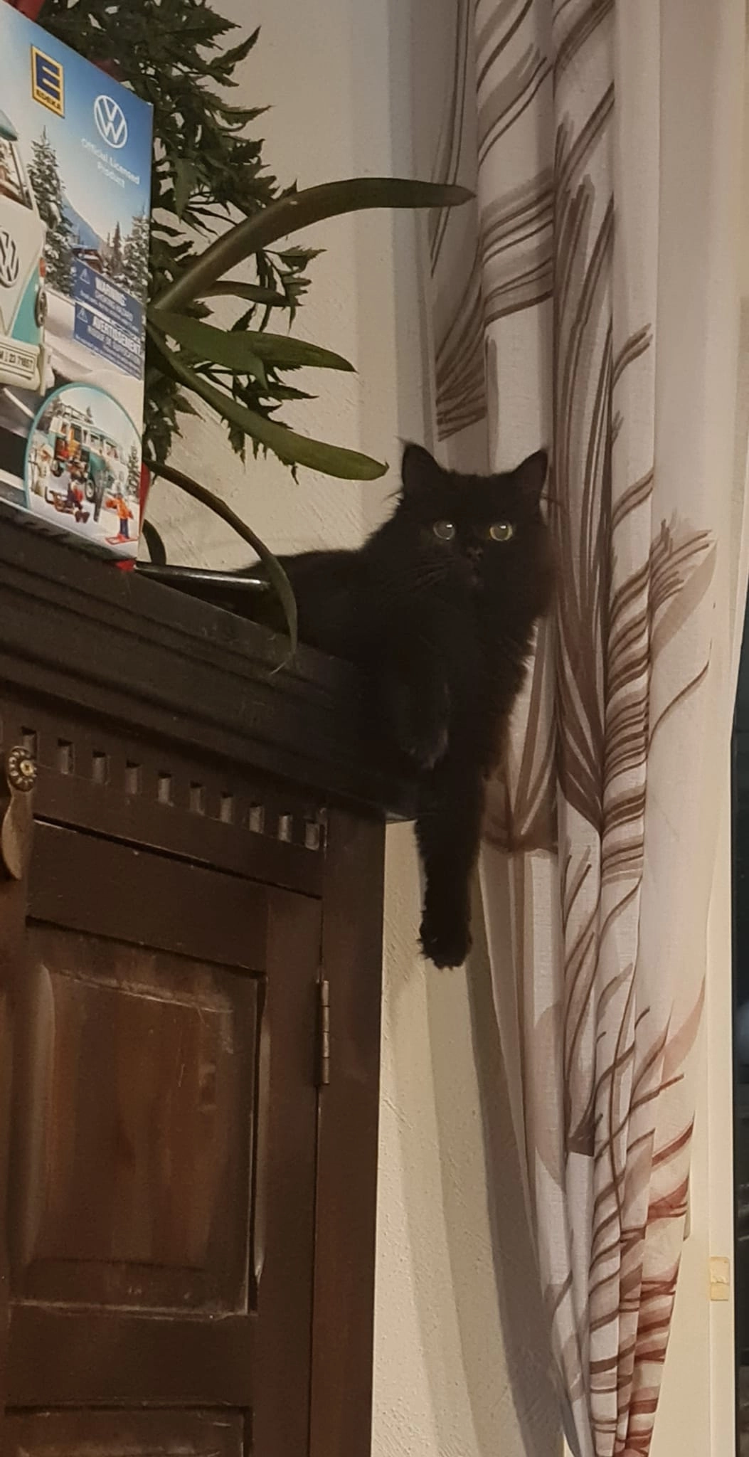 Fibi - In Der Bleiche, Seesen