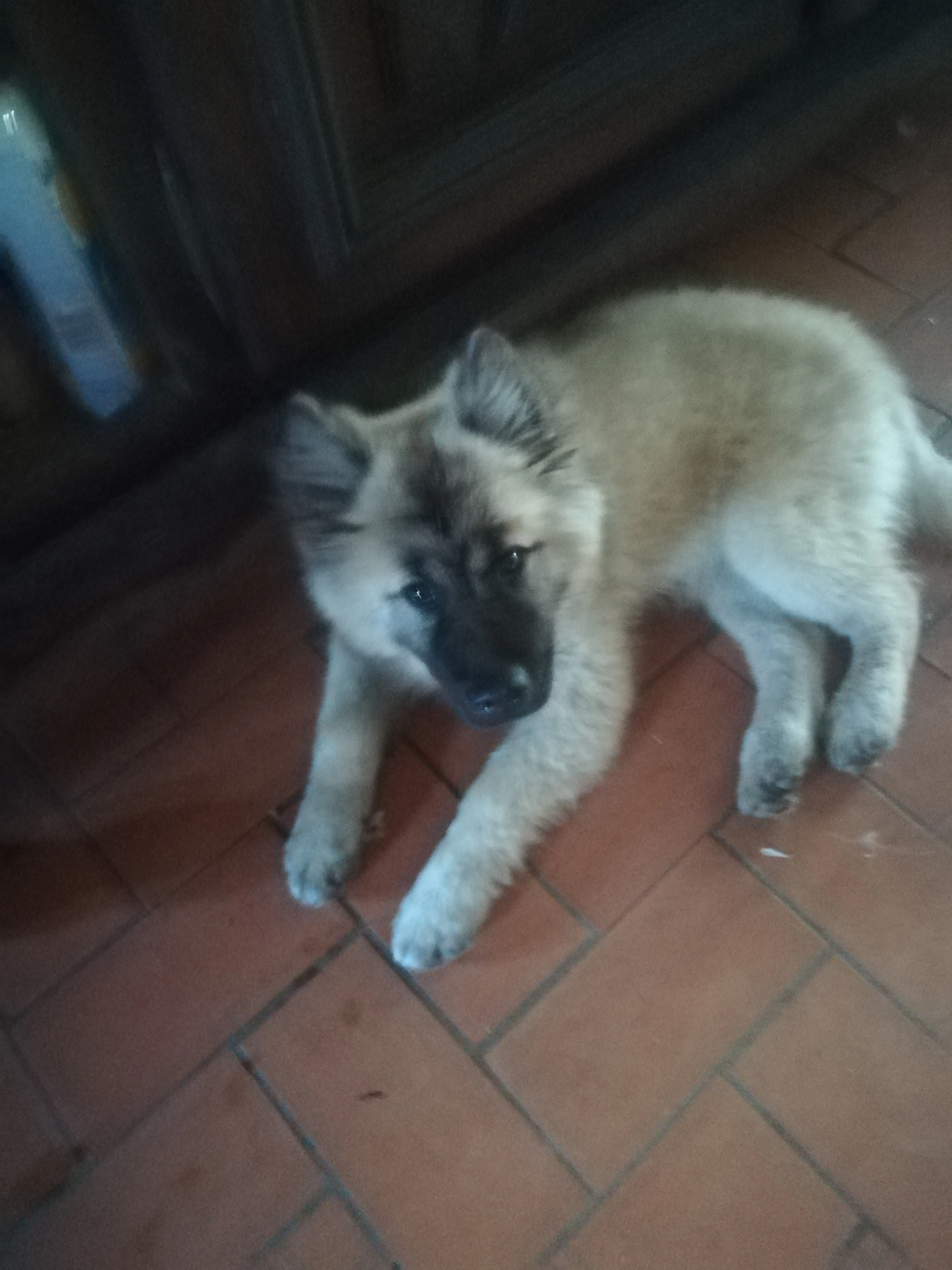 Tirex - 108 Route du Fer à Cheval, Saint-Jean-de-Blaignac