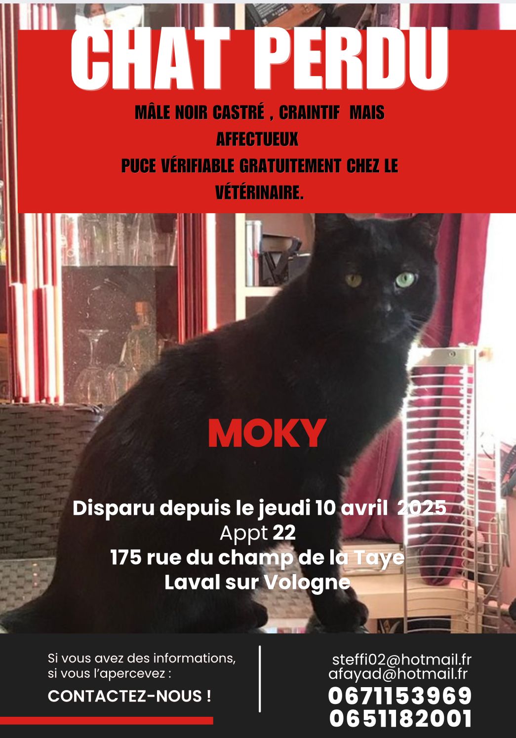 Moky - Rue Du Champ De La Taye, Laval-sur-Vologne