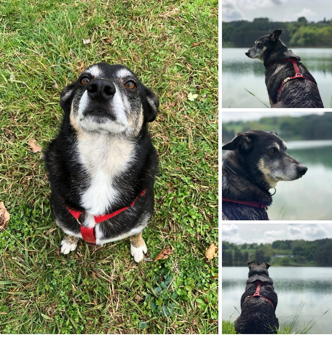 Jimi - 65710, Campan