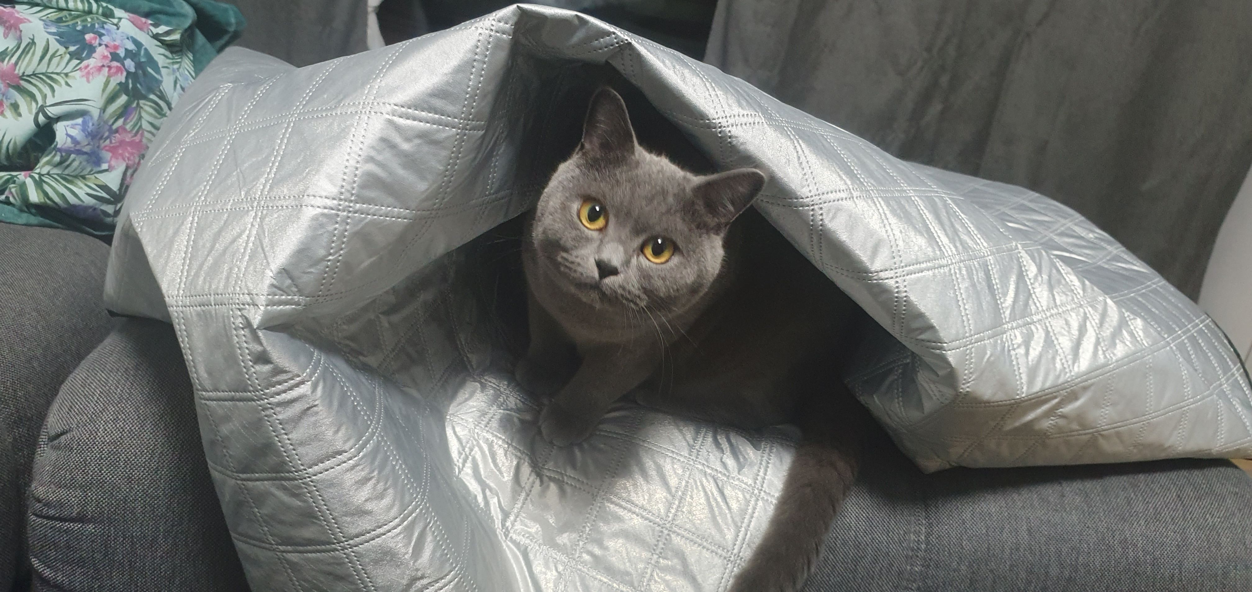 Sammy - Lindvennweg, Rheine