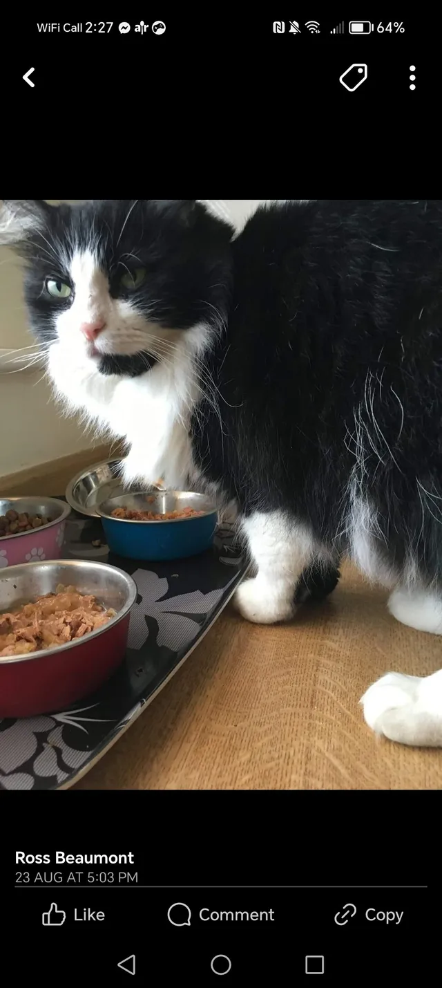 Milo - Skerne Road, Stockton-on-Tees
