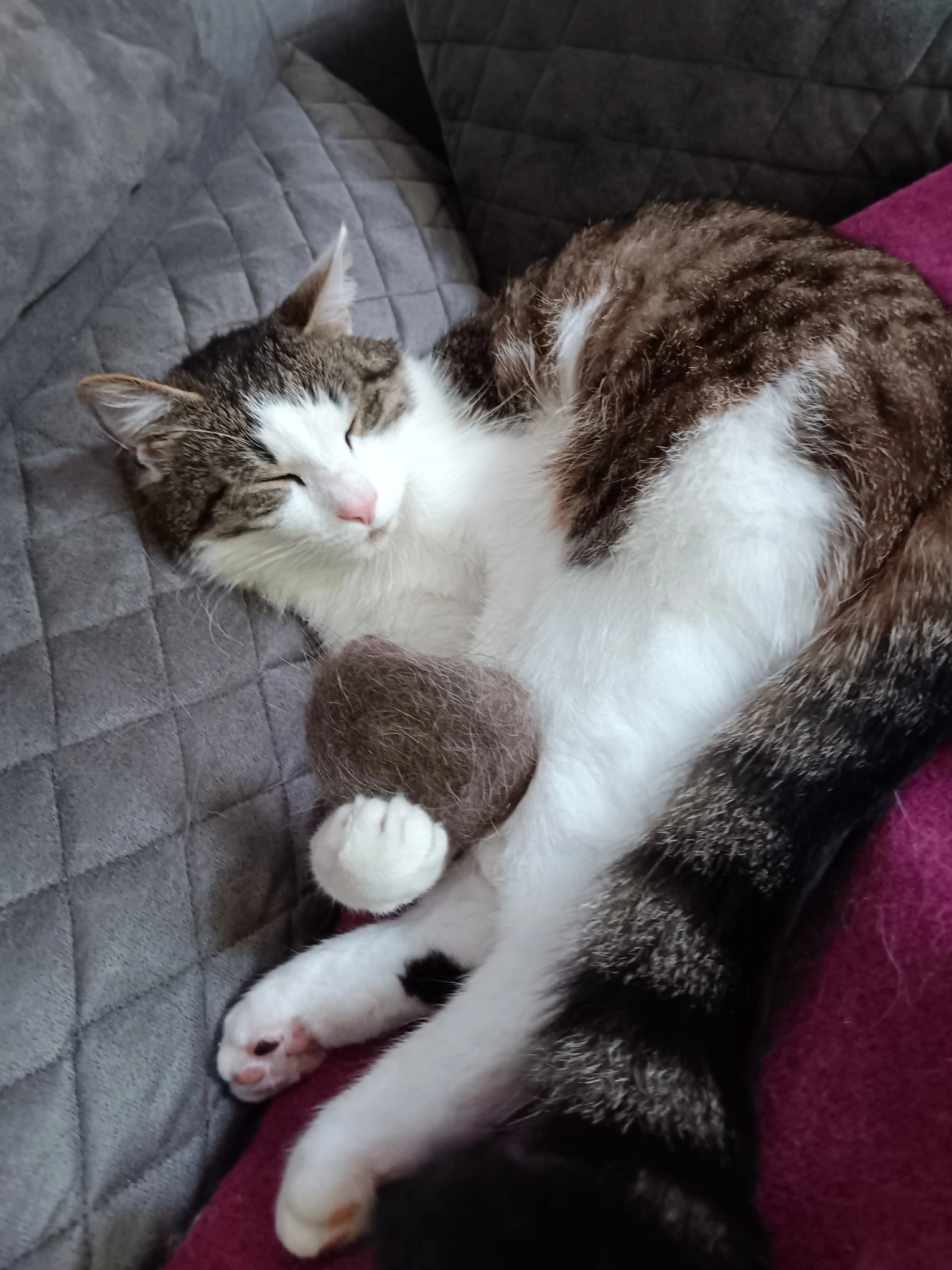 Fred - Lessingstraße, Neumünster