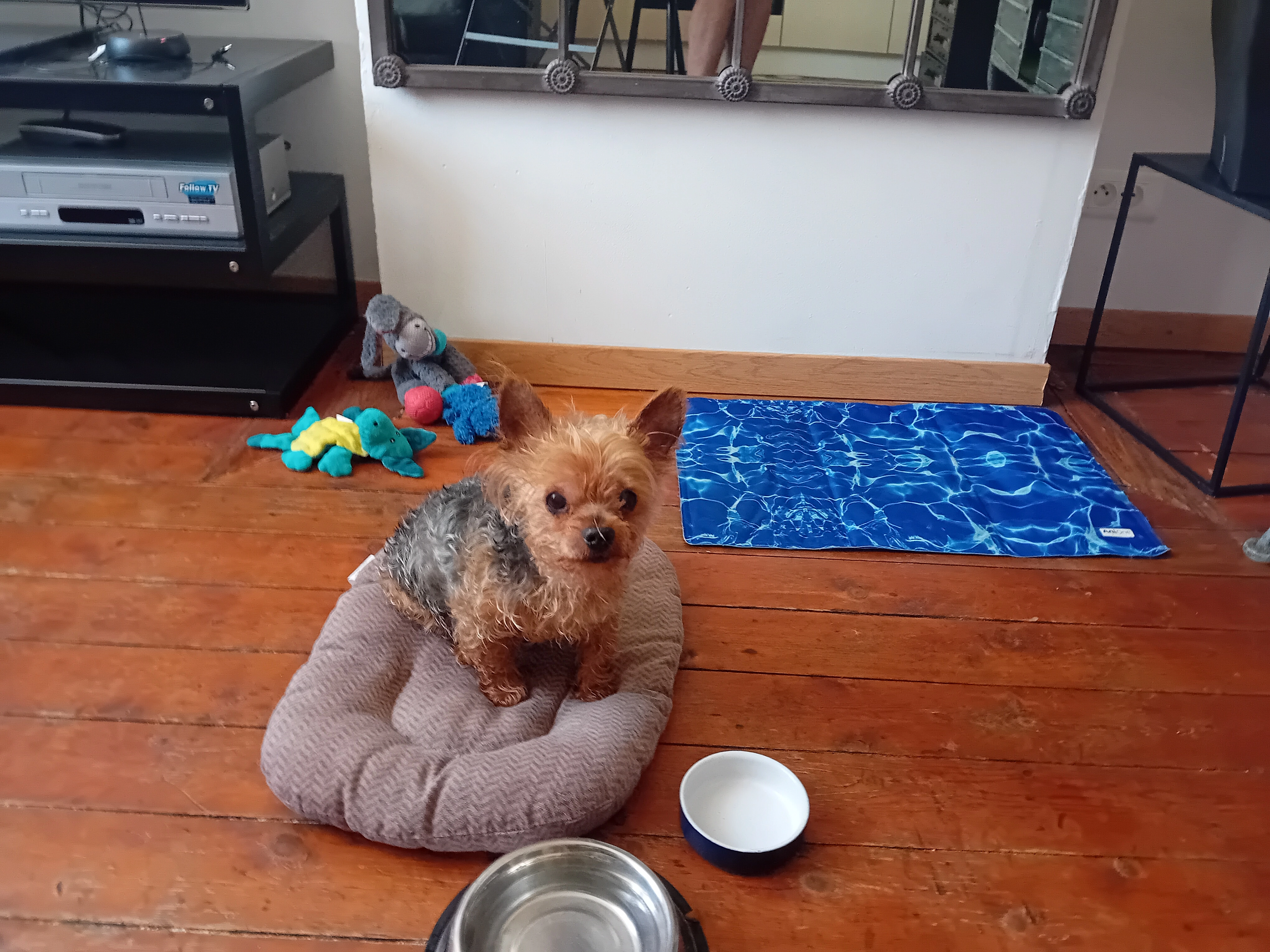 GASPAR  - Rue du Tir, Béthune