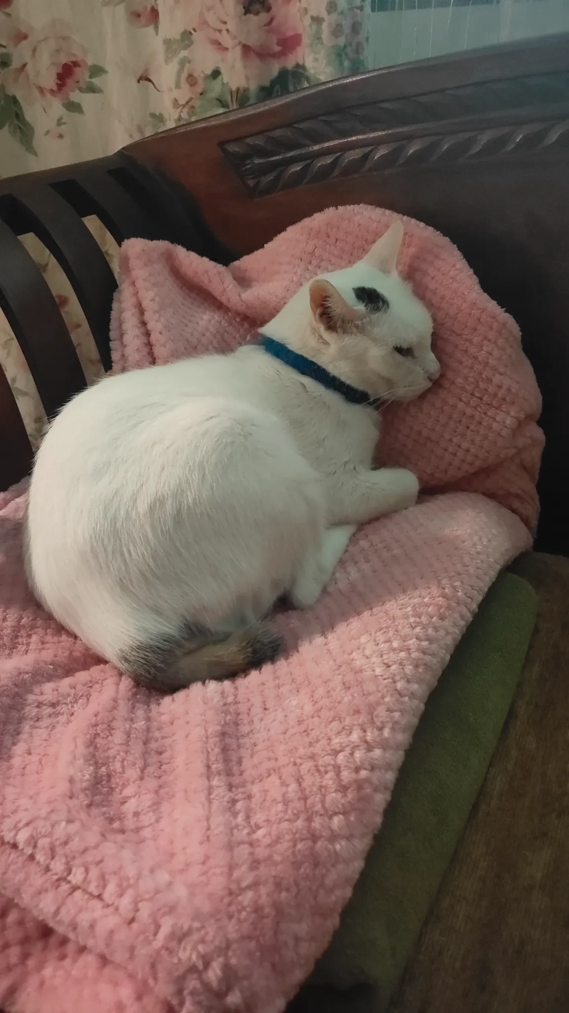 Messy - Tampines Avenue 5, Singapore