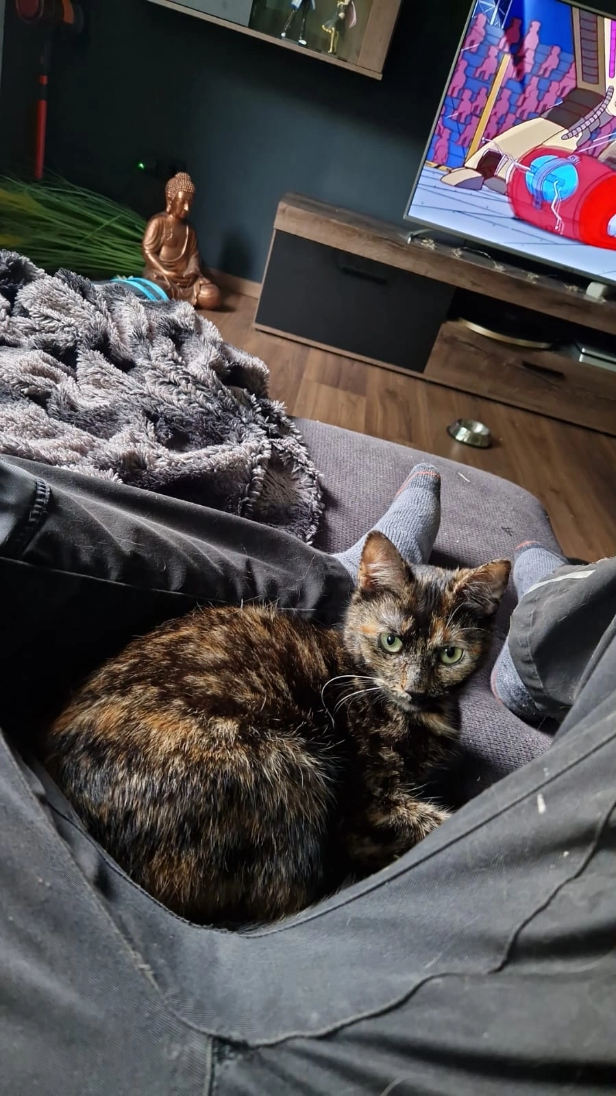 Ginny - Schulstraße, Reidenhausen