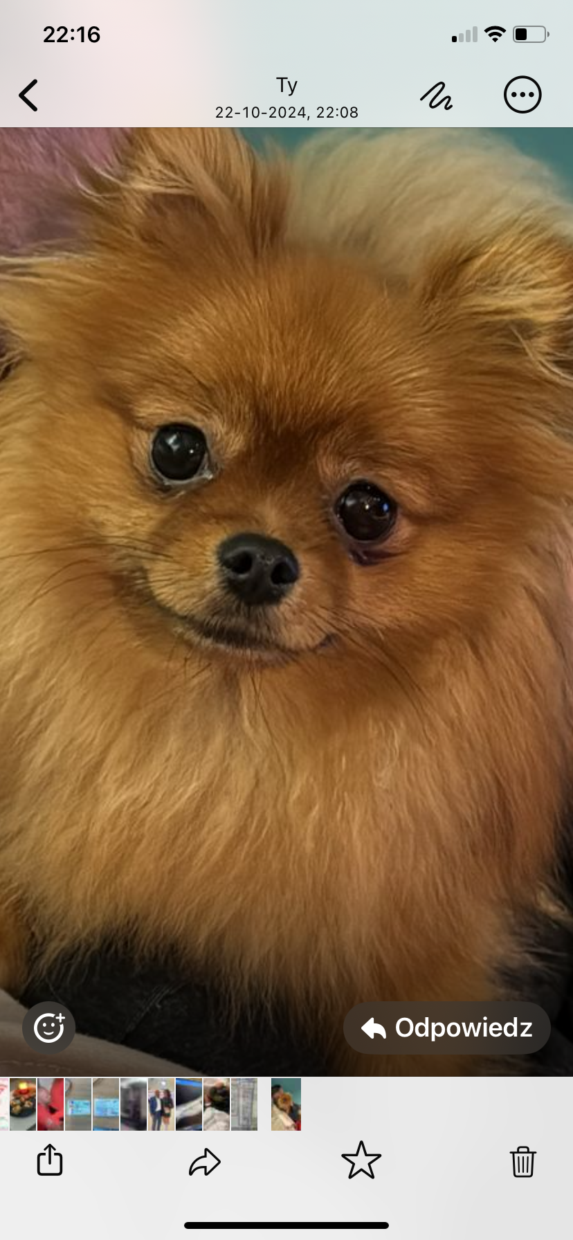 Chanel  - Dordtse Biesbosch, Dordrecht