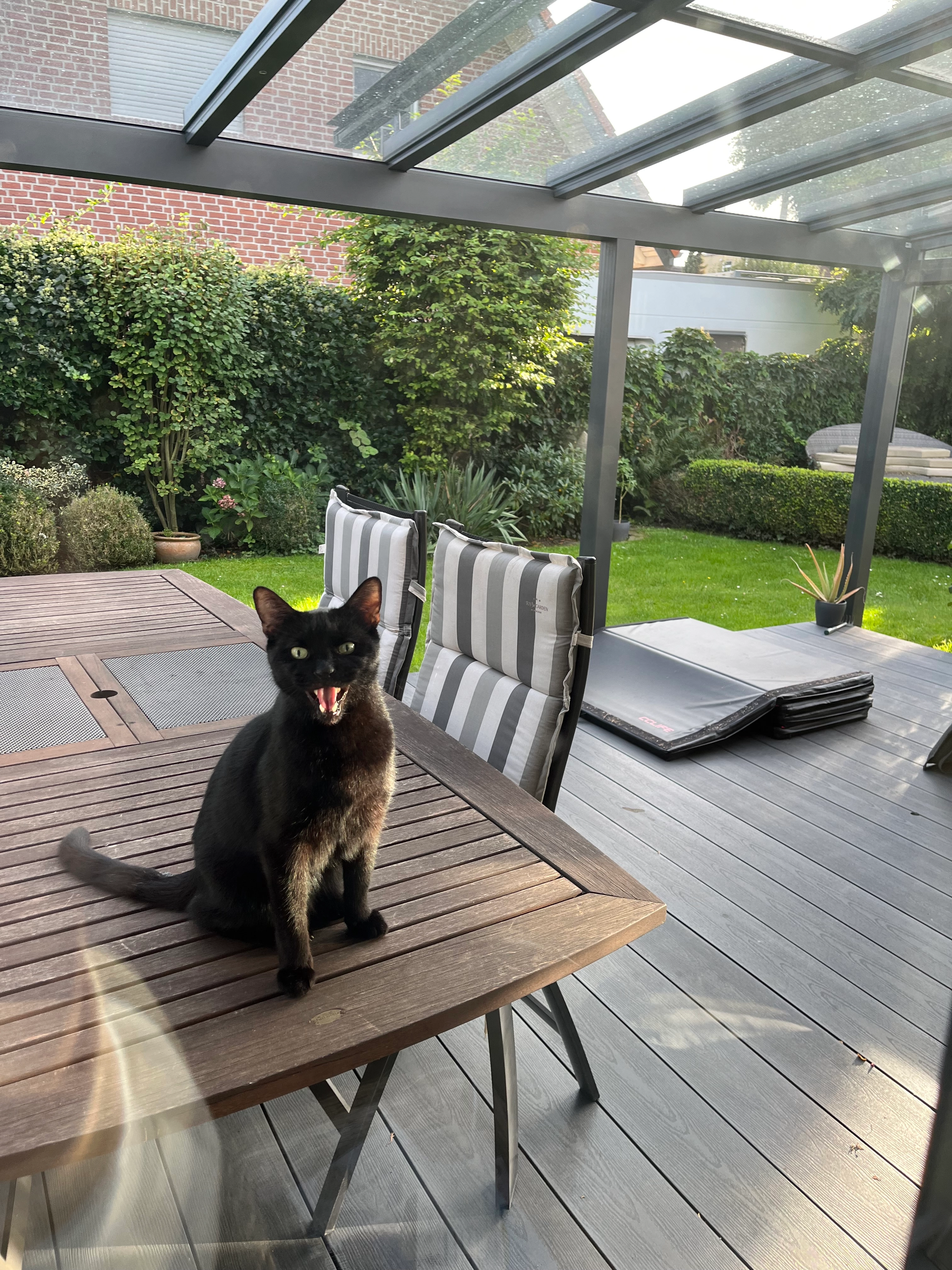 Gizmo - Blumenauer Straße, Wunstorf