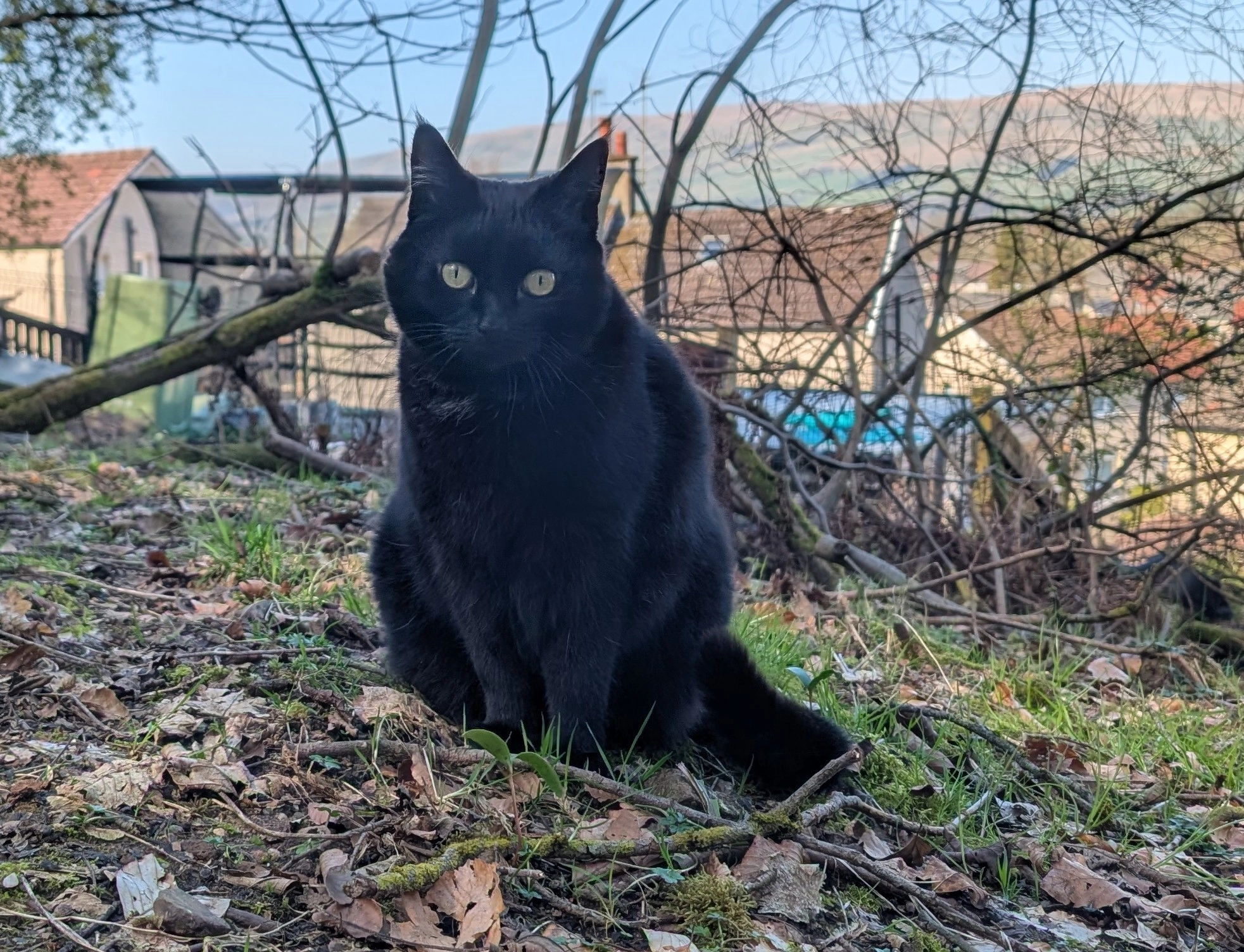 Wednesday - Gartshore Crescent, Glasgow