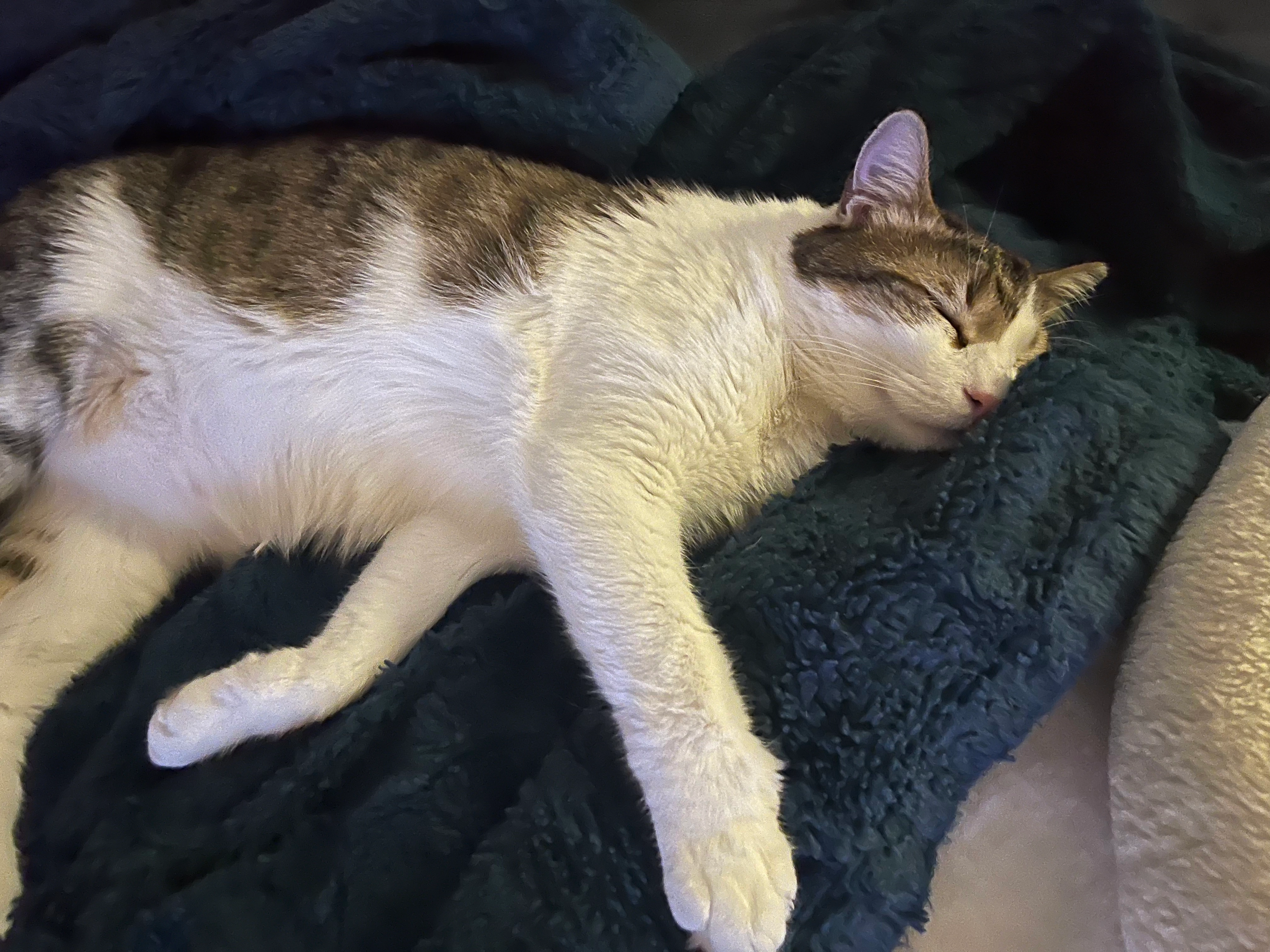 Munki - Jahnstraße, Grafing bei München