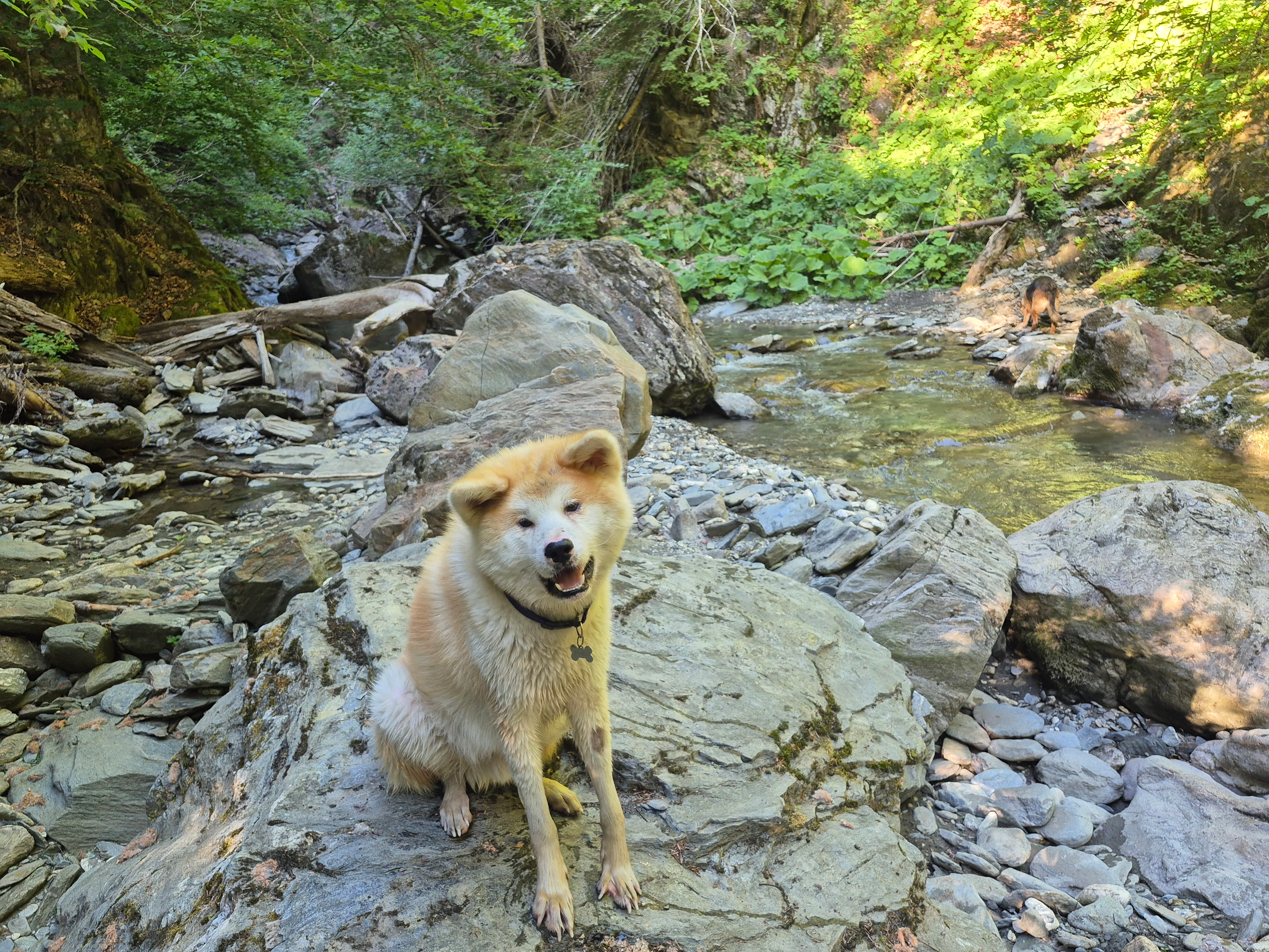 Hito - 466 Route du Val d'Arly, Praz-sur-Arly