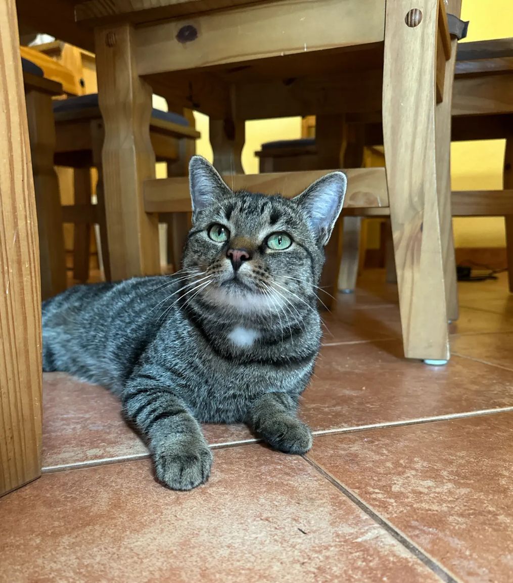 Cooper - Dorfstraße, Angern