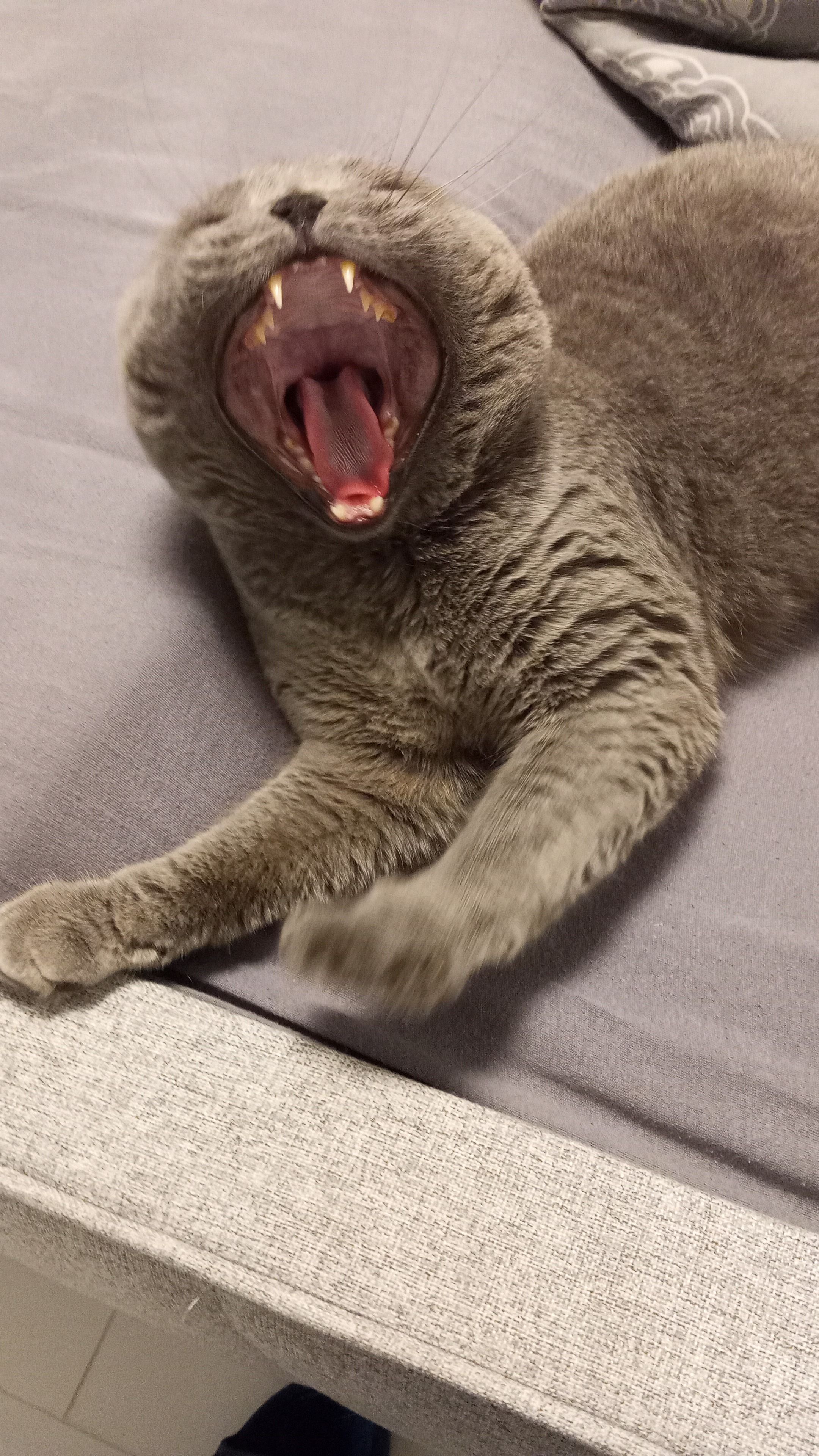 Balou - Ringstraße, Welver