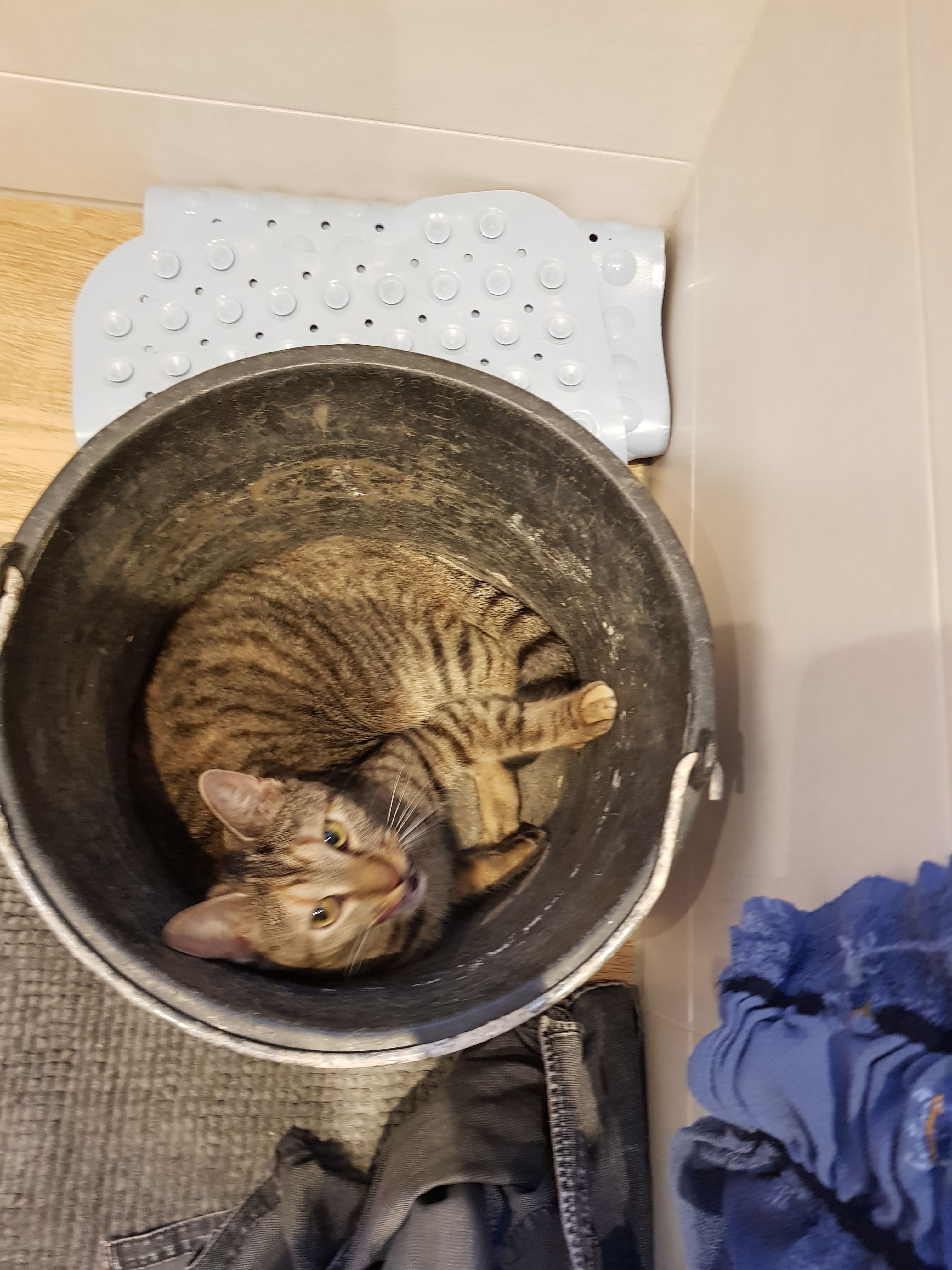 Krümel - Tannenbergstraße, Schwaan