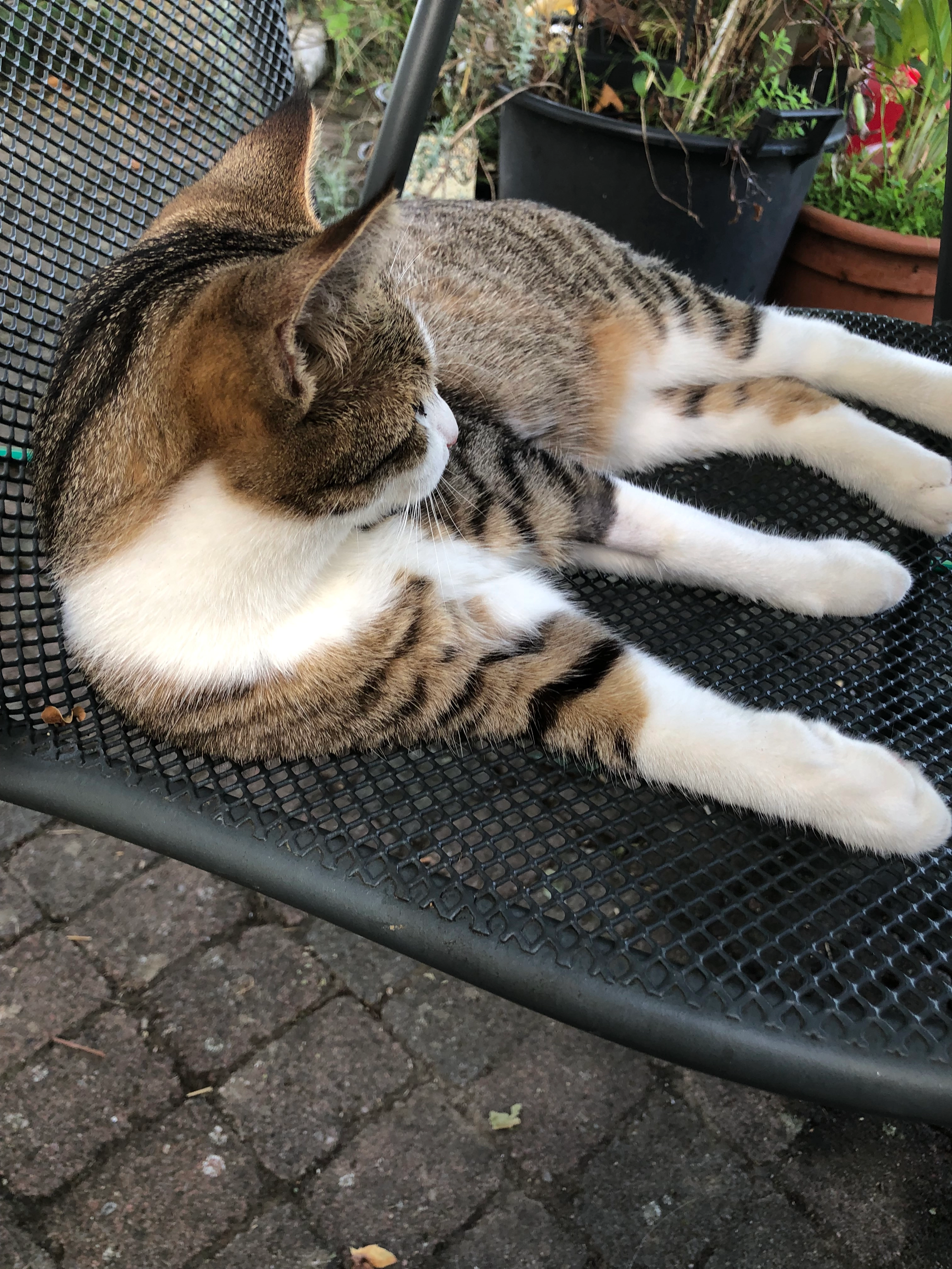 Dana - Route du Village, Vully-les-Lacs