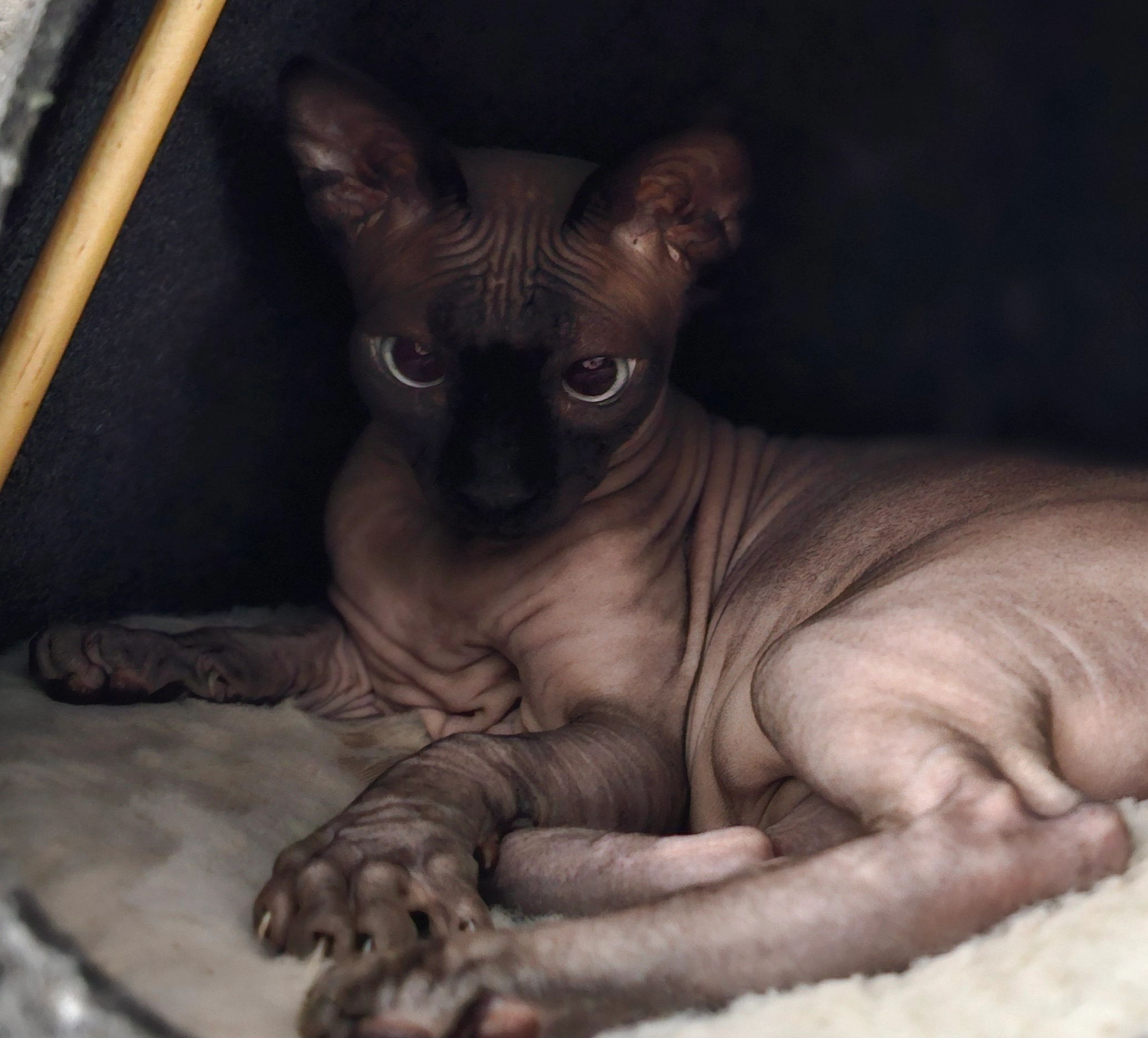 Marcy - Hauptstraße, Faulbach