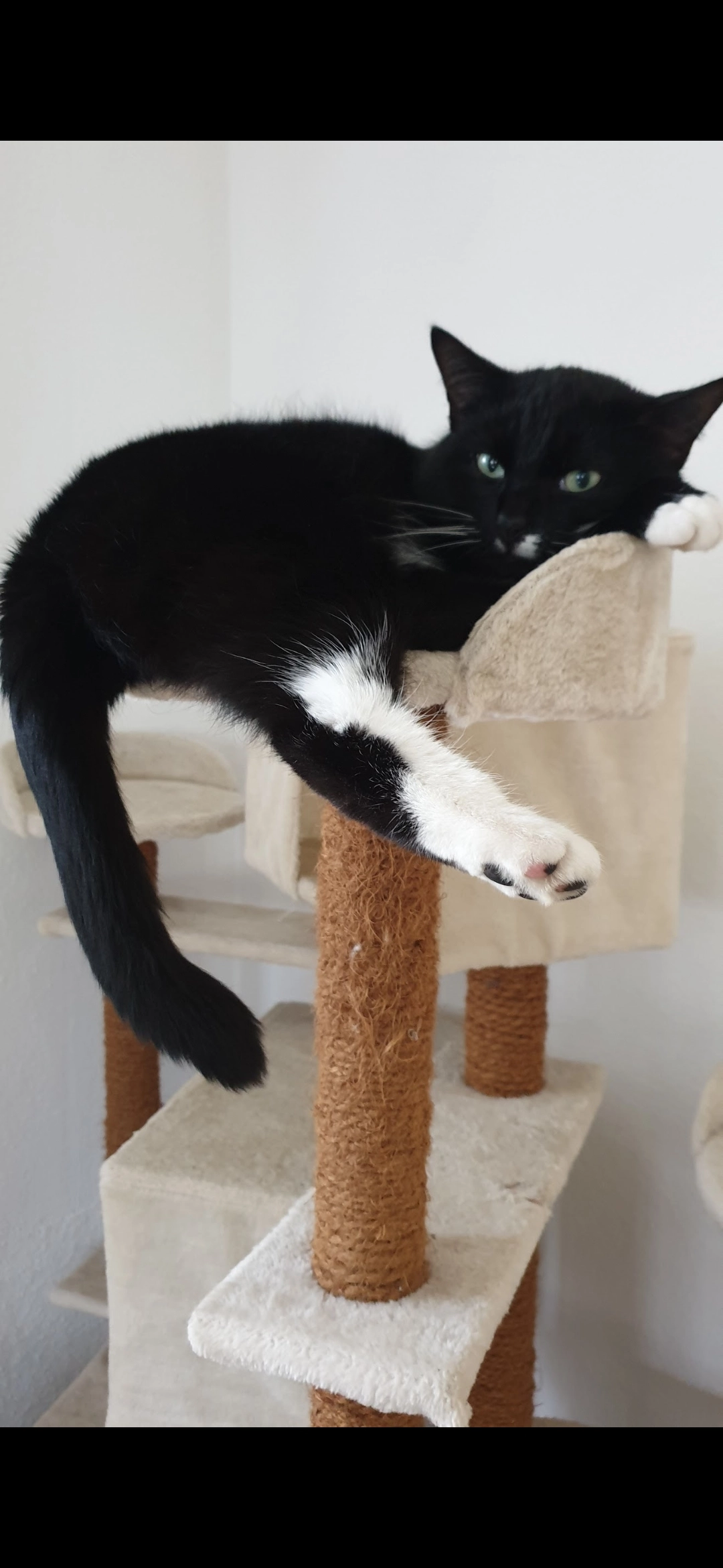 Smugy - Schongauer Straße, Landsberg am Lech