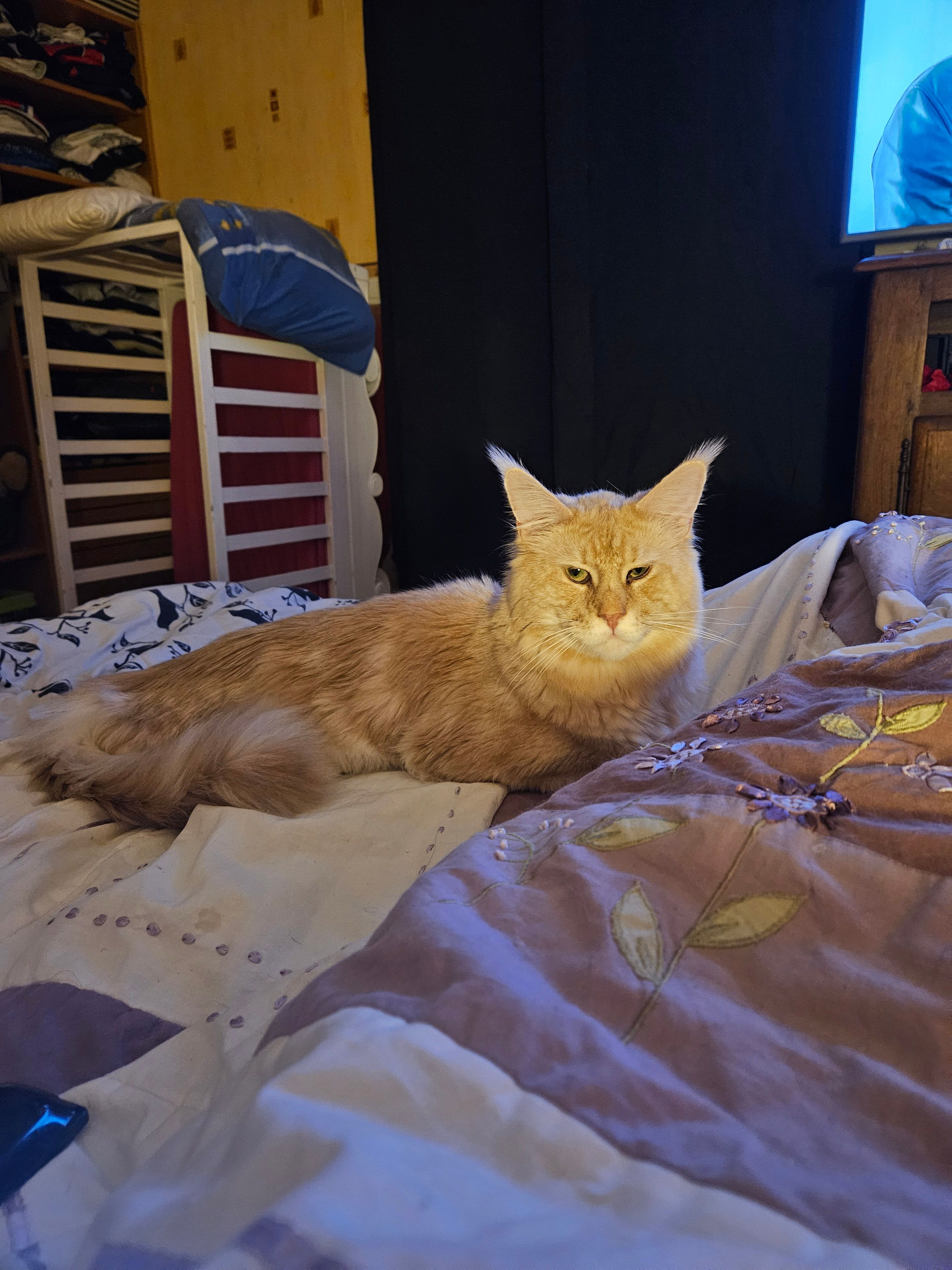 TAYSOB - Rue des Brayes, Crépy-en-Valois