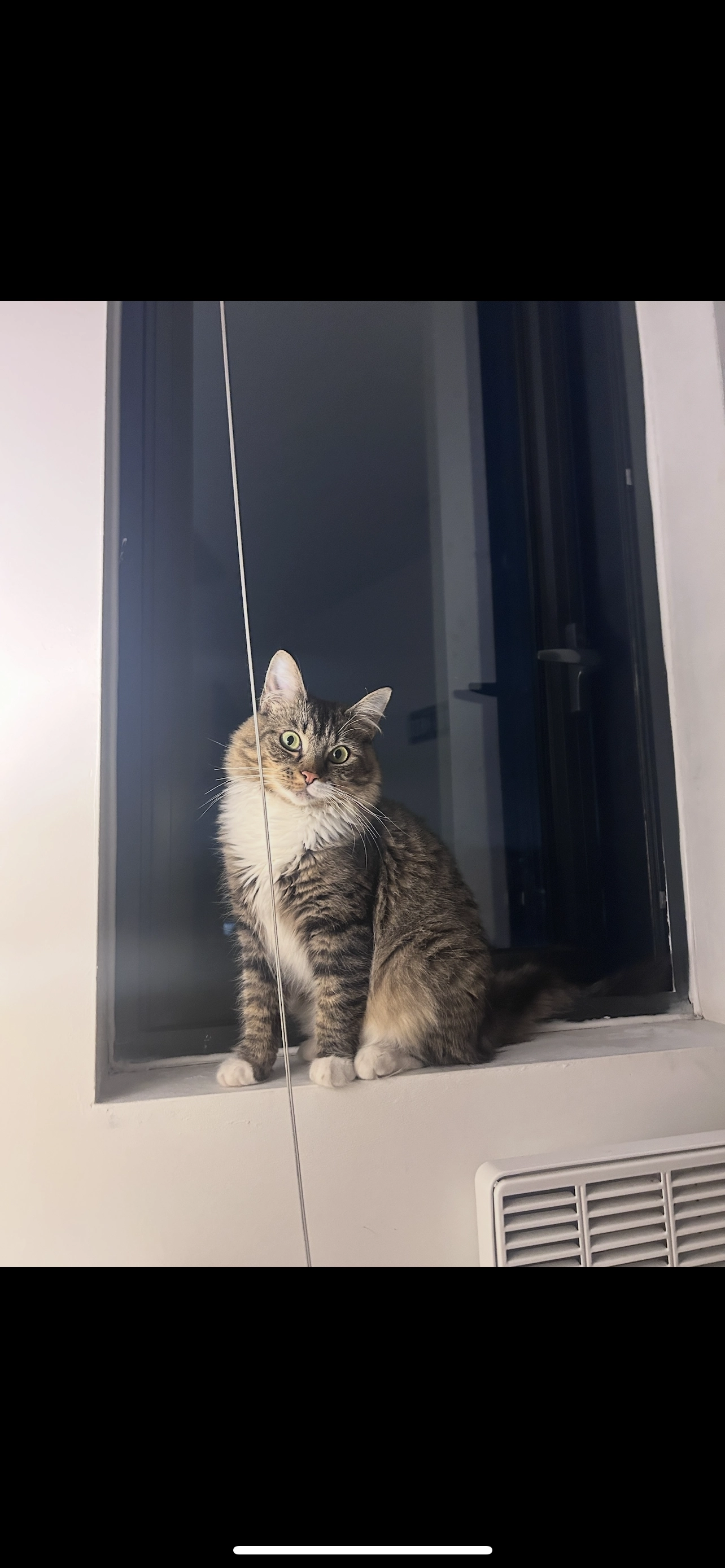 Cleo  - Plaza Boulevard, Liverpool