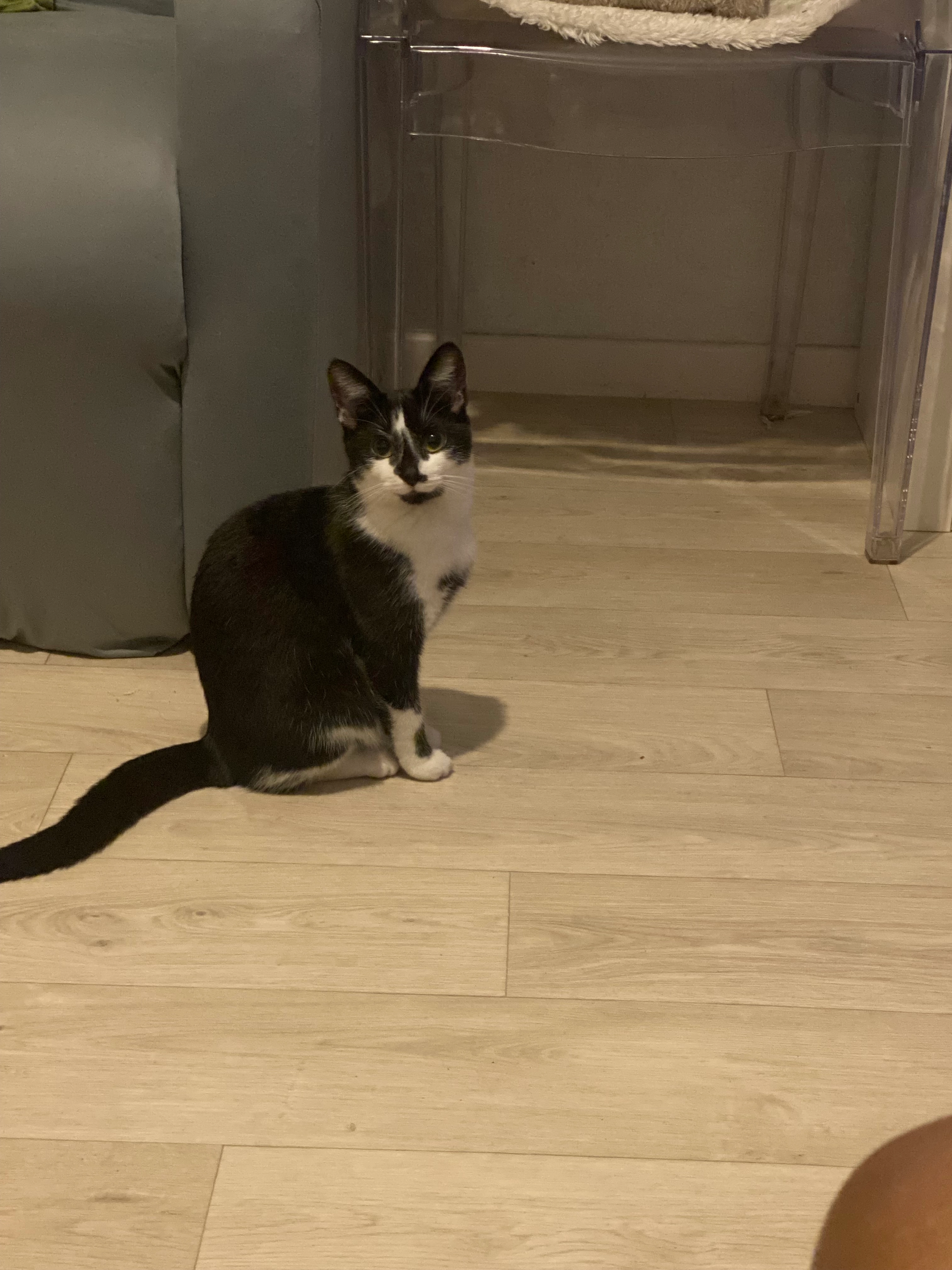 Yumi  - WV2 4, Wolverhampton