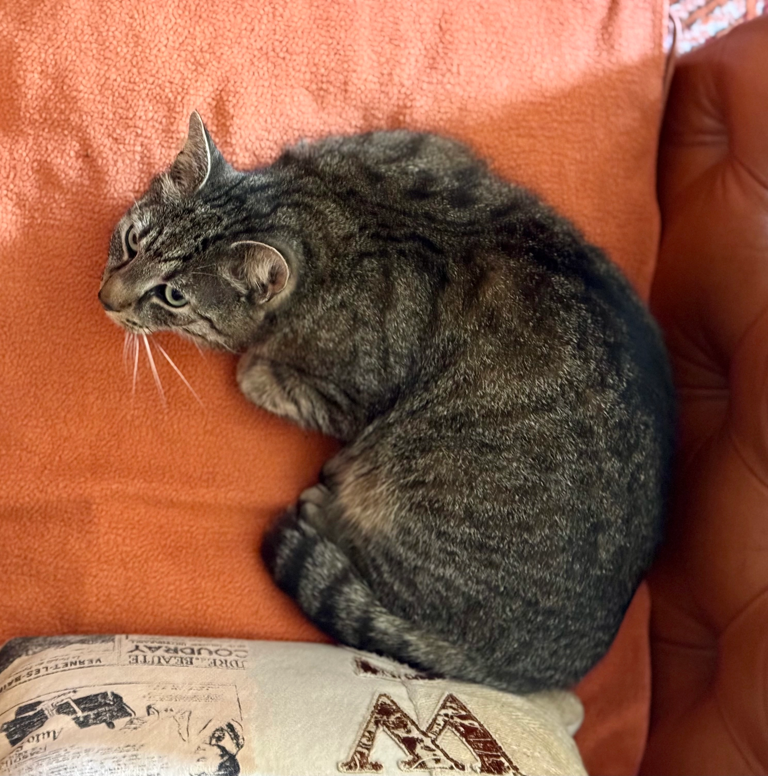 Toni Tatze  - Flansweg, Berlin