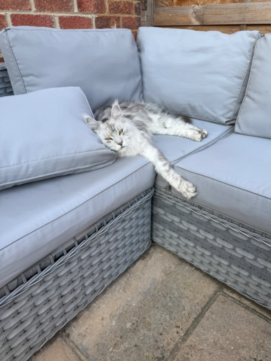 Luna - Marklay Drive, Chelmsford