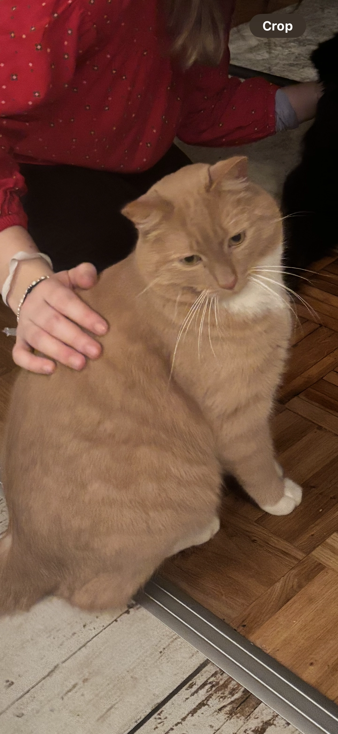 Gefrees - Falls 20, Gefrees