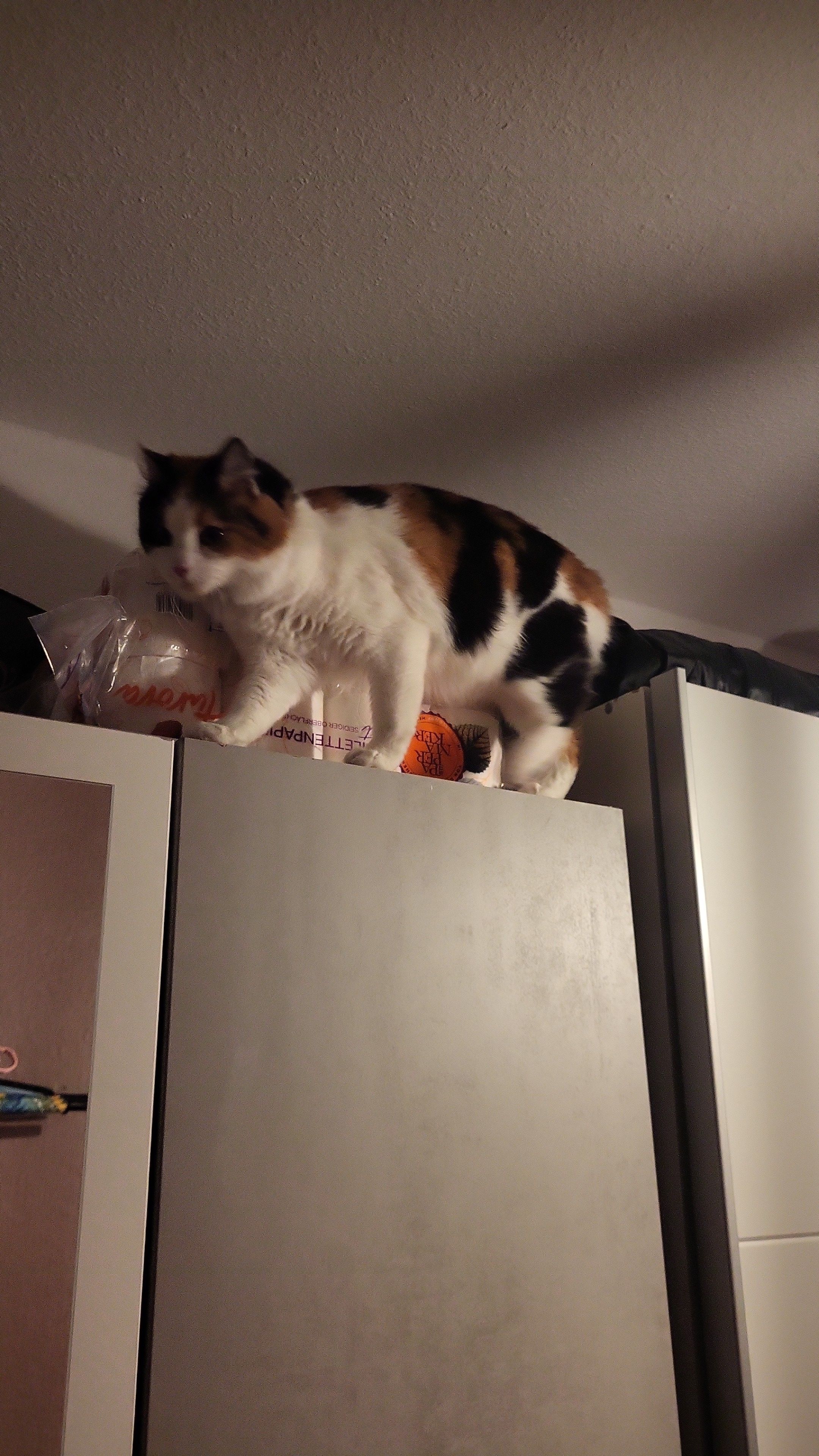 Luna - Pskower Straße, Gera