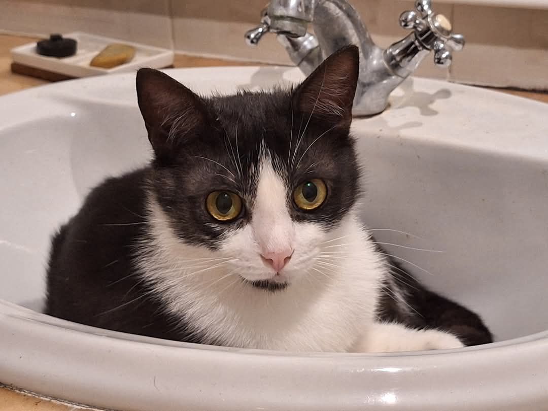 Mr Pipe - Rua Do Bocage, São Domingos de Rana