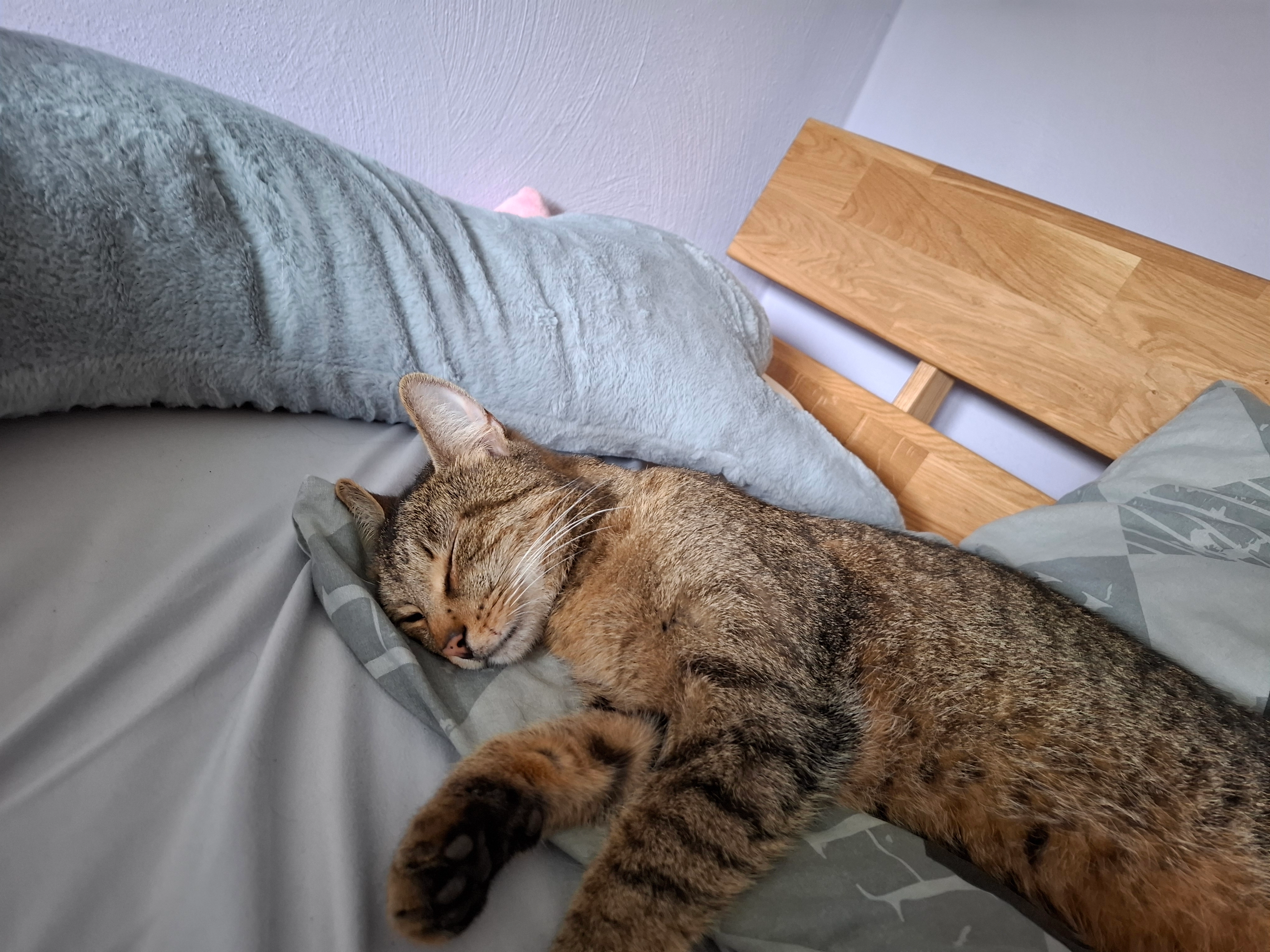 Yuma - Beruser Straße, Saarlouis