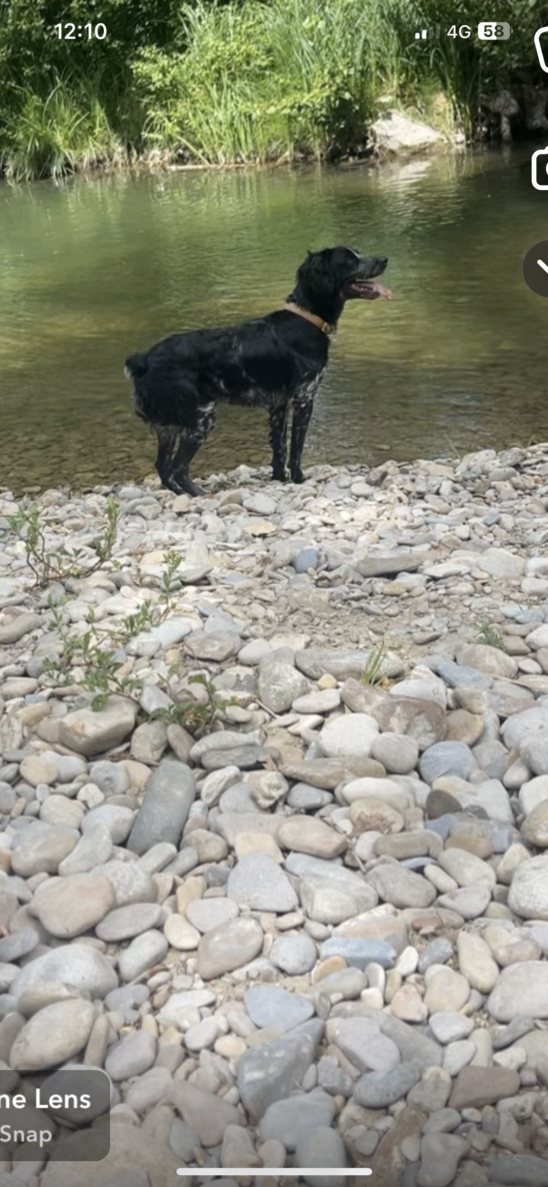 Boxteur  - 160 Chemin Haut de Sérignan, Pierrelatte