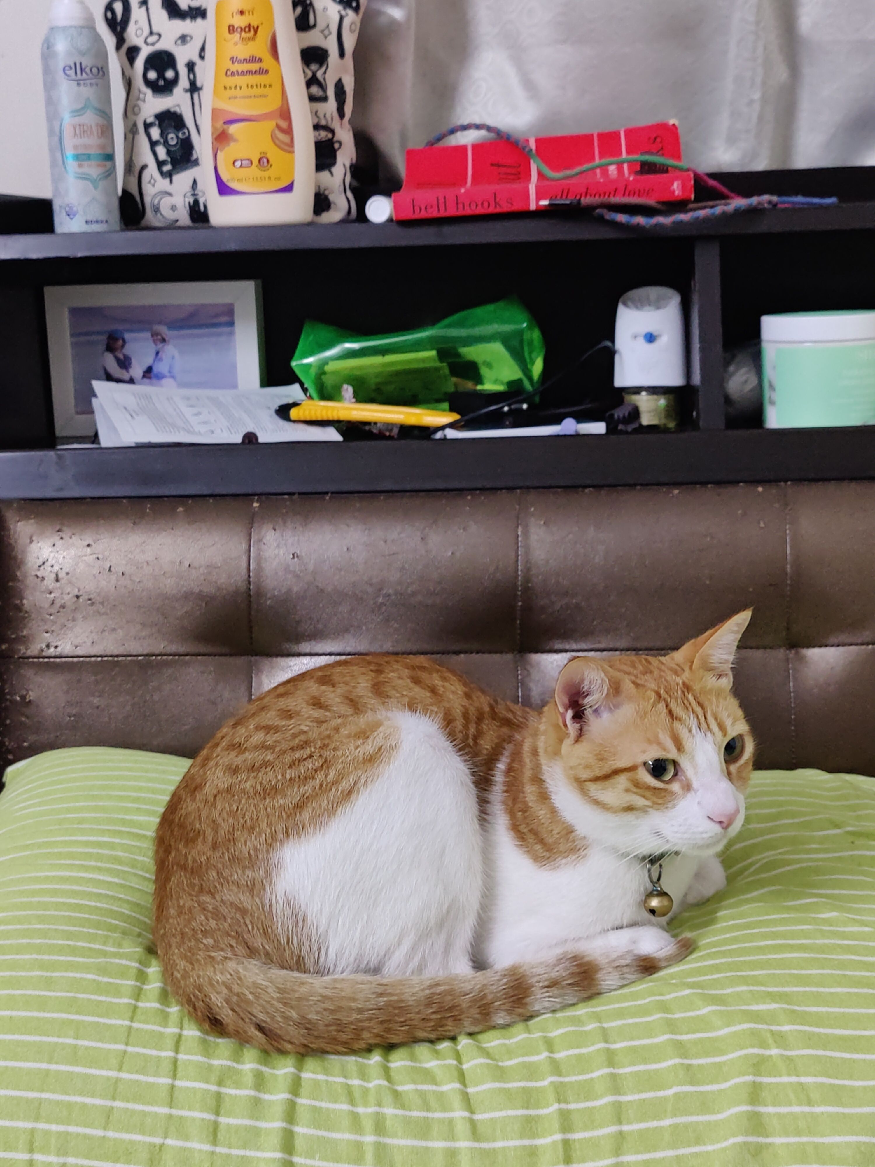 Tangy - Kanke Road, Gandhi Nagar Colony