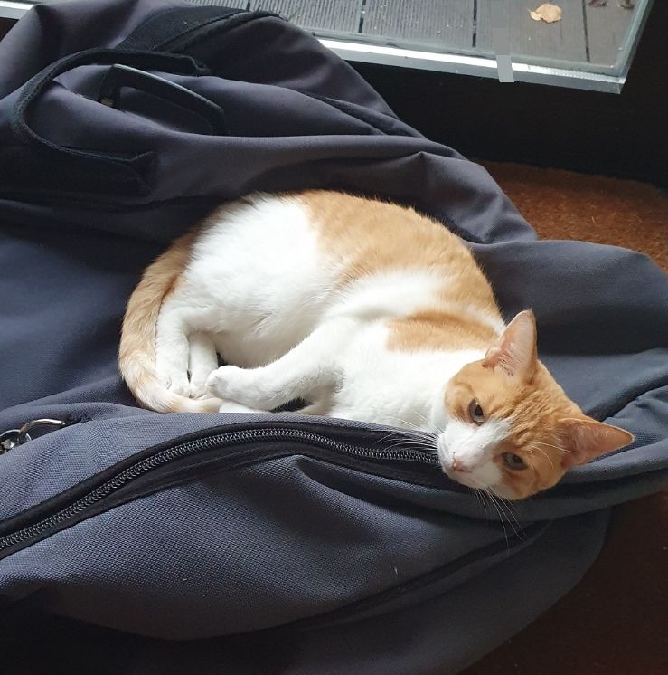 Filou - Brookweg, Oldenburg